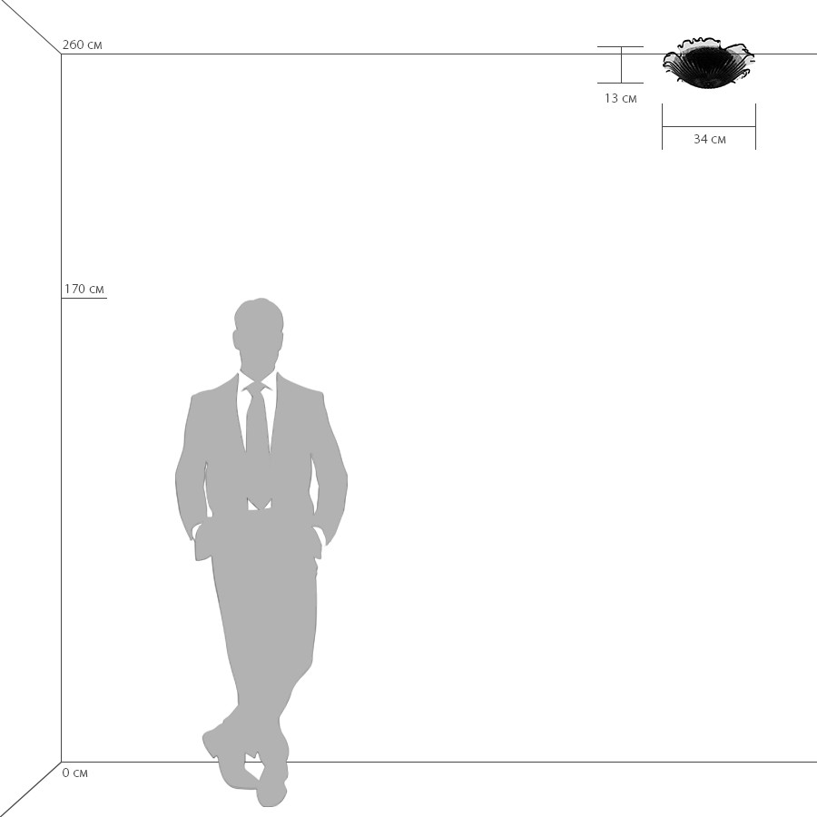 Картинка Потолочный светильник Lightstar Murano 601030