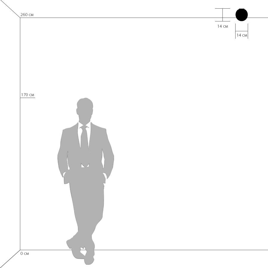 Дополнительная картинка Потолочный светильник Lightstar Simple Light 803010