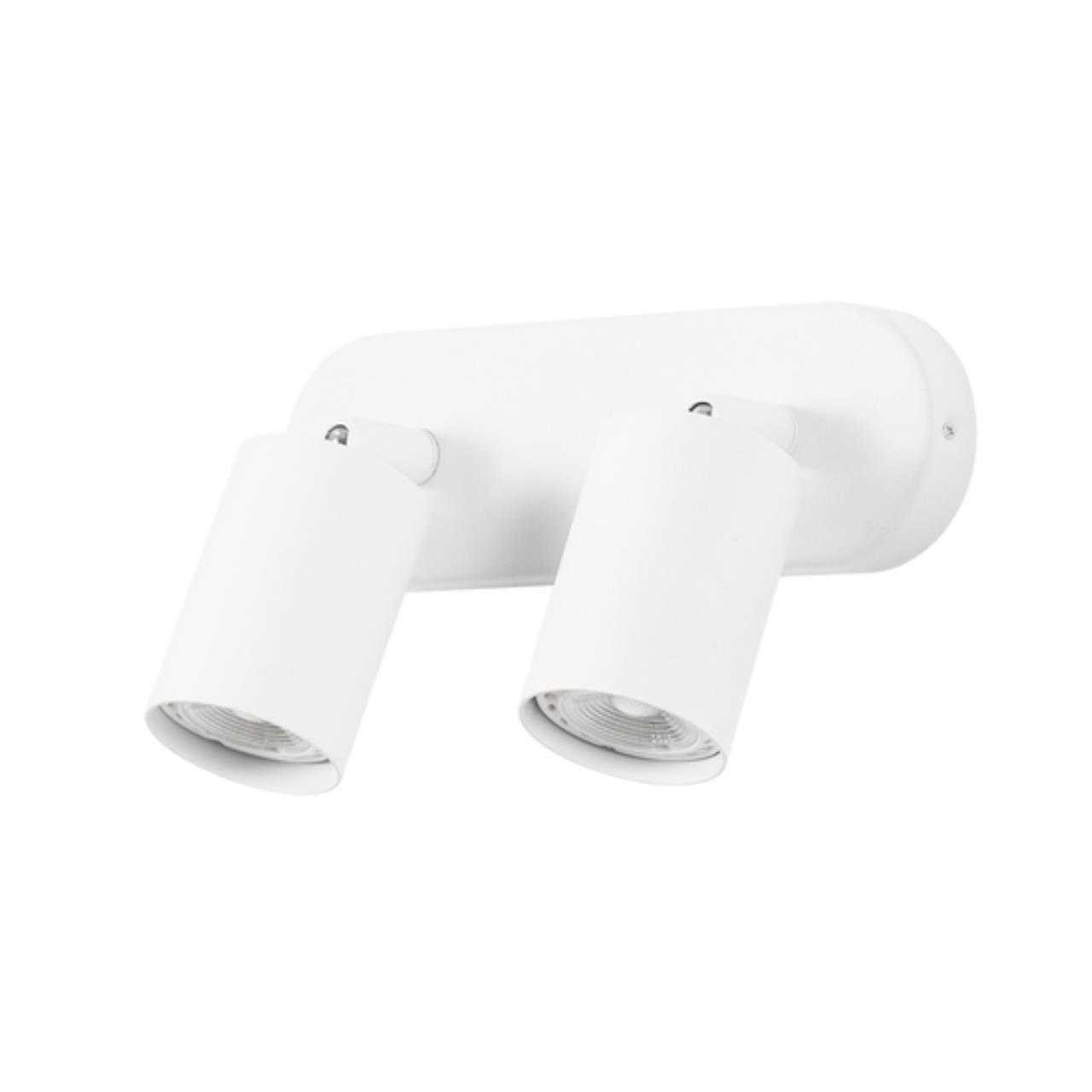 Дополнительная картинка Потолочный светильник Arte Lamp AQUARIUS A3226PL-2WH