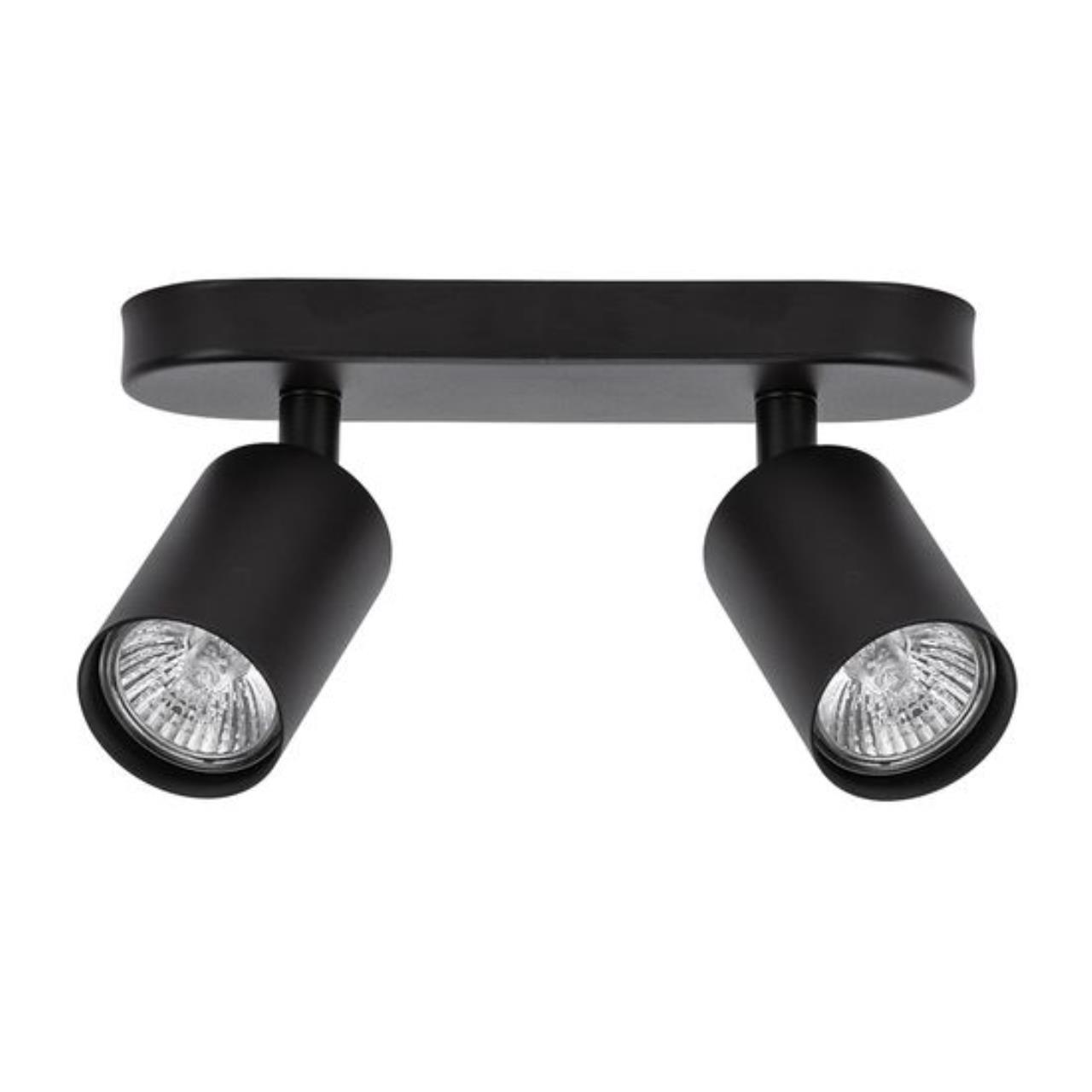 Дополнительная картинка Потолочный светильник Arte Lamp AQUARIUS A3226PL-2BK