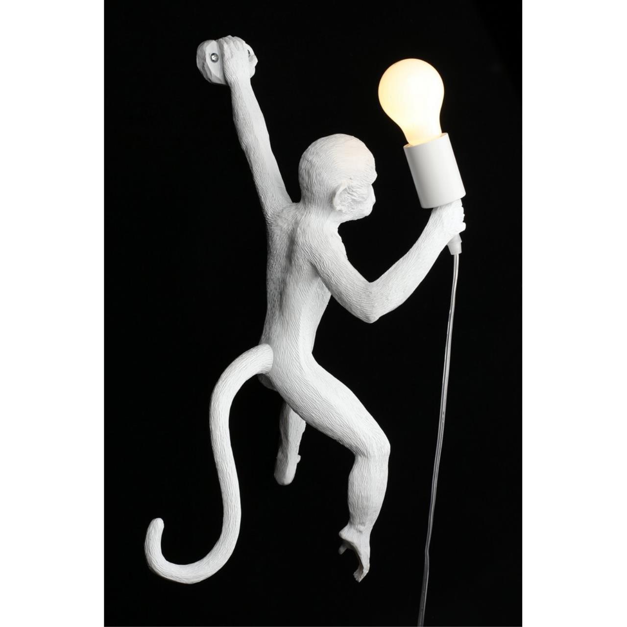 Картинка APL.309.01.01 Бра настенное Aployt Magali