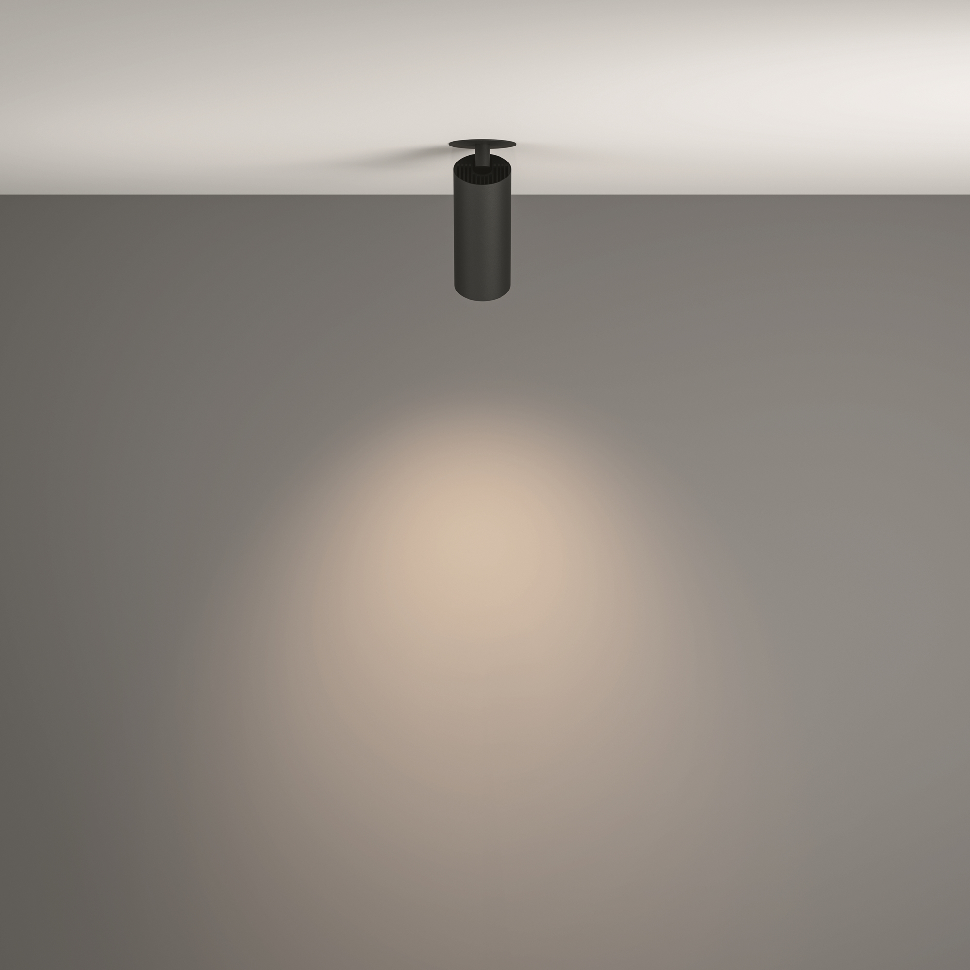 Картинка Потолочный светильник Technical C053CL-L12W4K-W-B