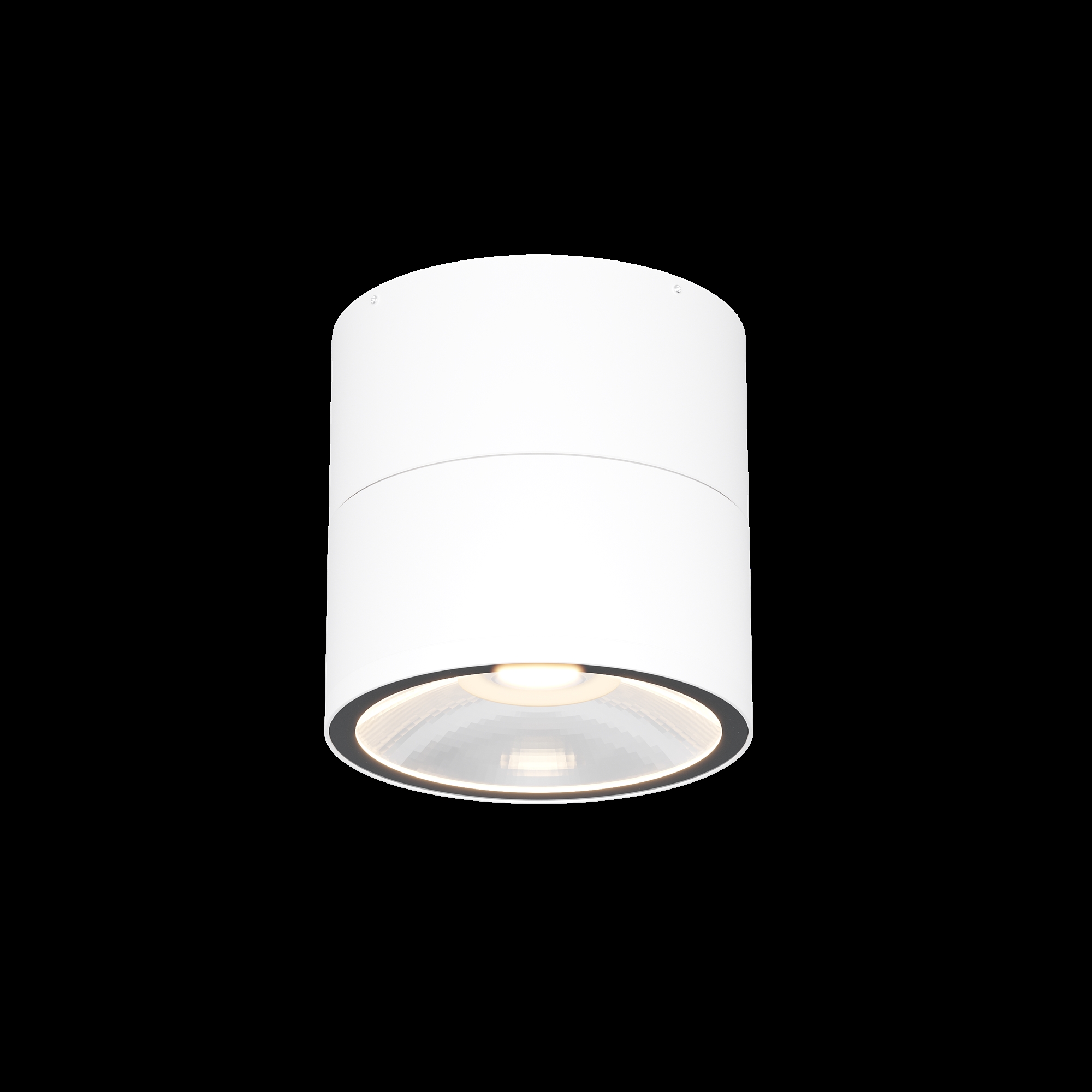 Дополнительная картинка Потолочный светильник Outdoor O310CL-L12W3K