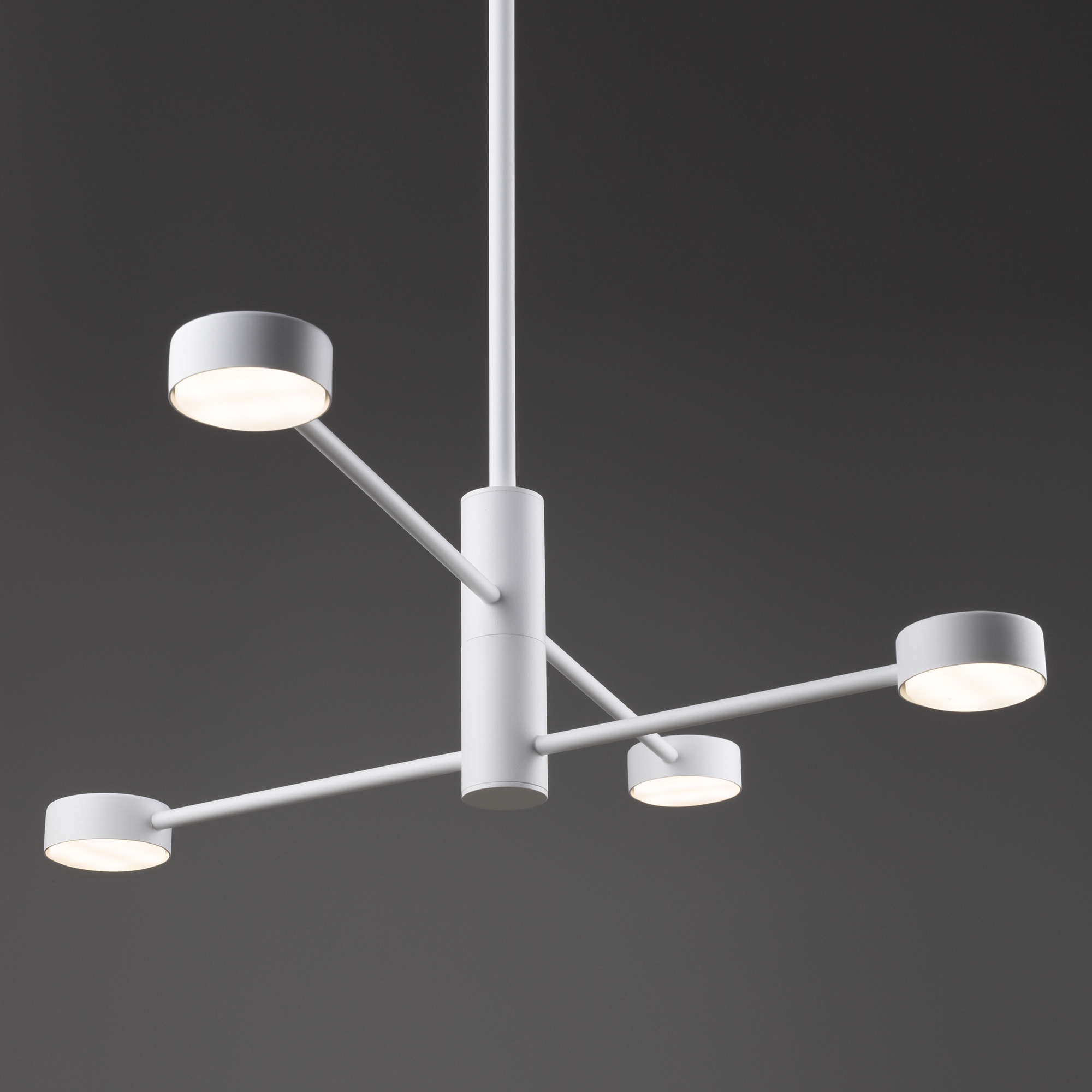 Дополнительная картинка Потолочный светильник Freya FR5363CL-04W