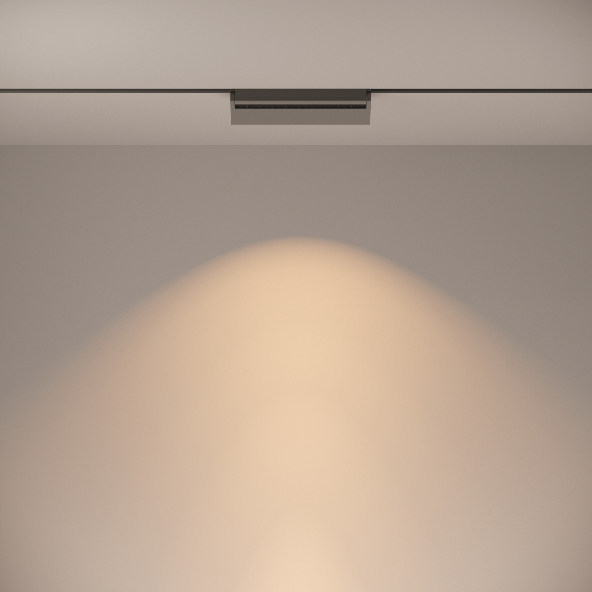 Дополнительная картинка Трековый светильник Technical TR013-2-20W3K-B