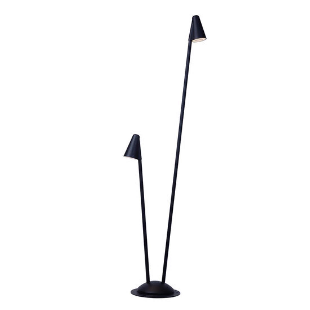 Дополнительная картинка Ландшафтный светильник Arte Lamp MUPHRID A4109PA-2BK