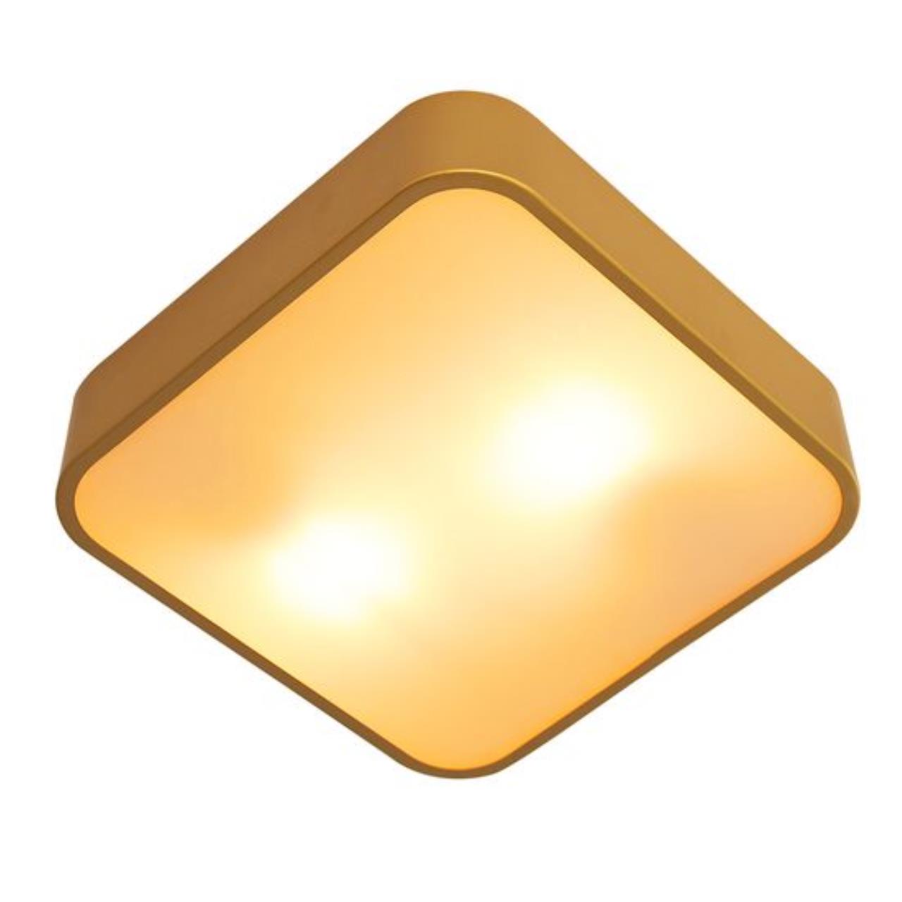 Дополнительная картинка Потолочный светильник Arte Lamp COSMOPOLITAN A7210PL-2GO