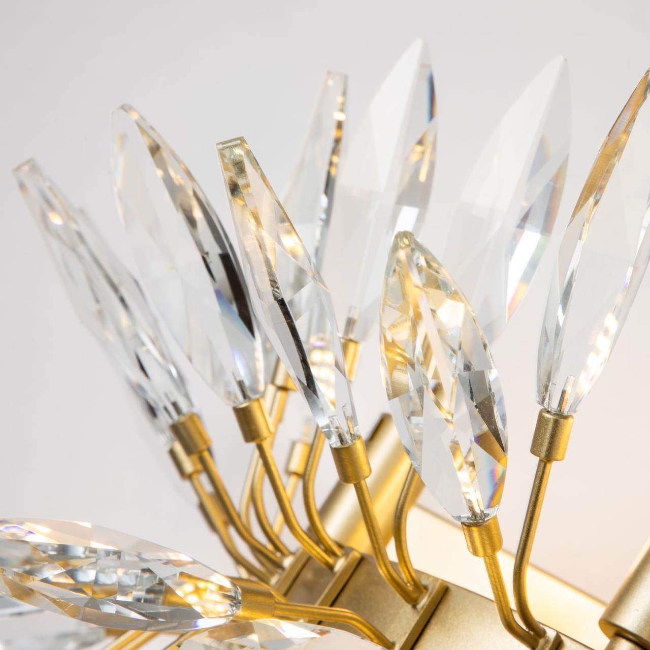 Дополнительная картинка Настенный светильник Rays 4058-6W