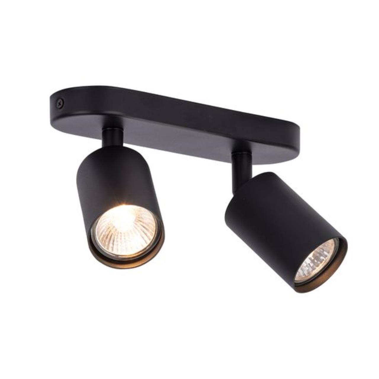 Дополнительная картинка Потолочный светильник Arte Lamp AQUARIUS A3226PL-2BK