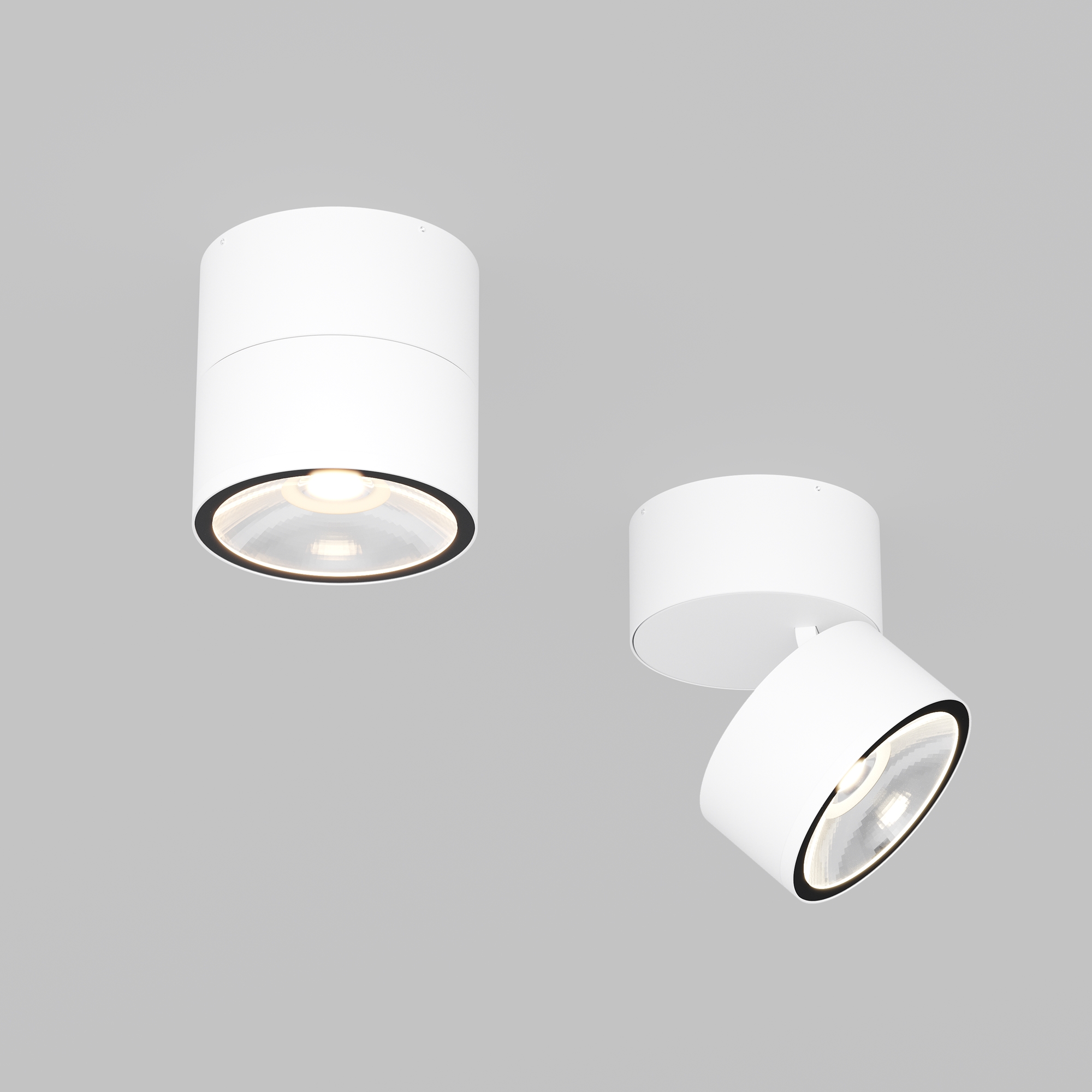 Дополнительная картинка Потолочный светильник Outdoor O310CL-L12W3K