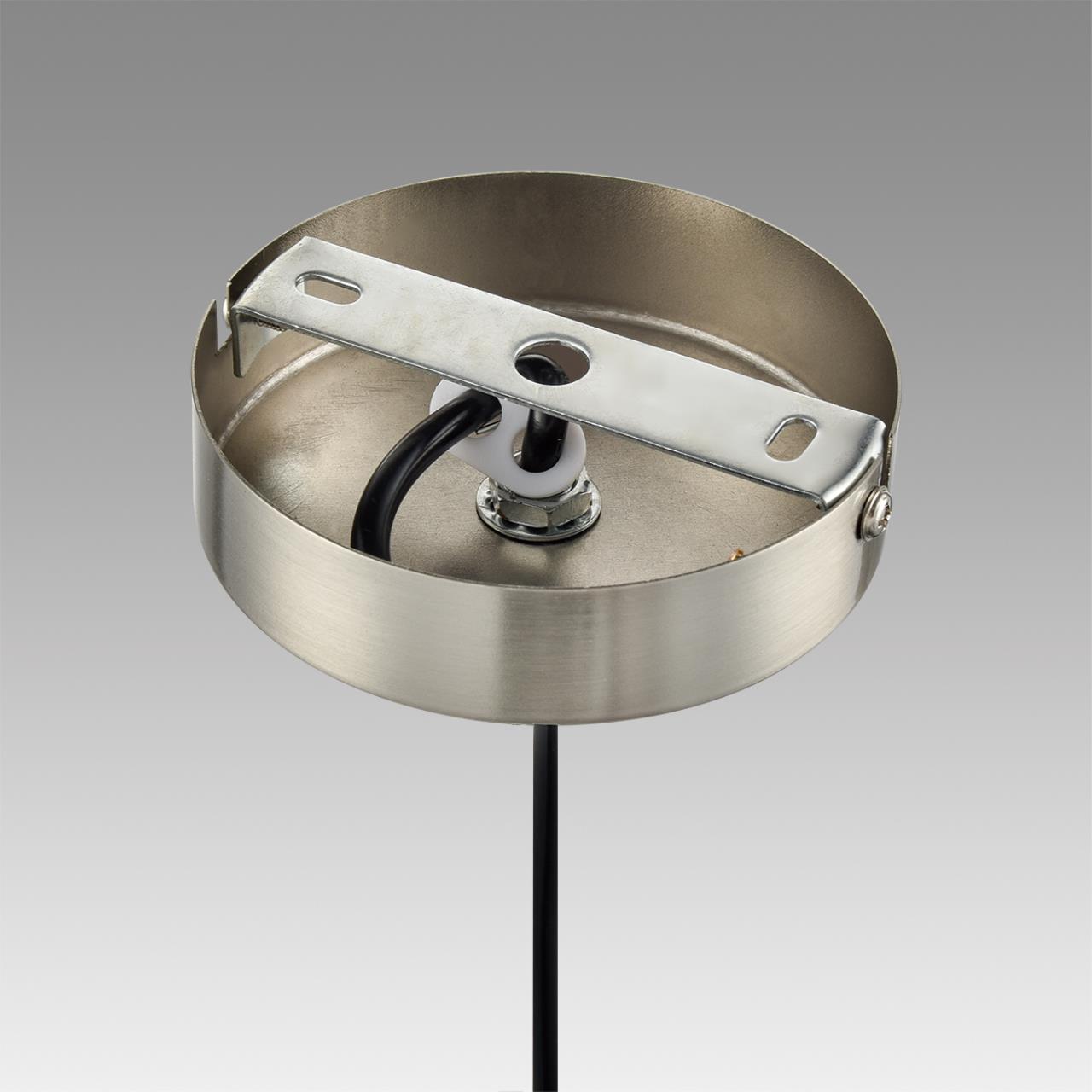 Дополнительная картинка 8038/1 Lumion Подвесной светильник ILAIDA