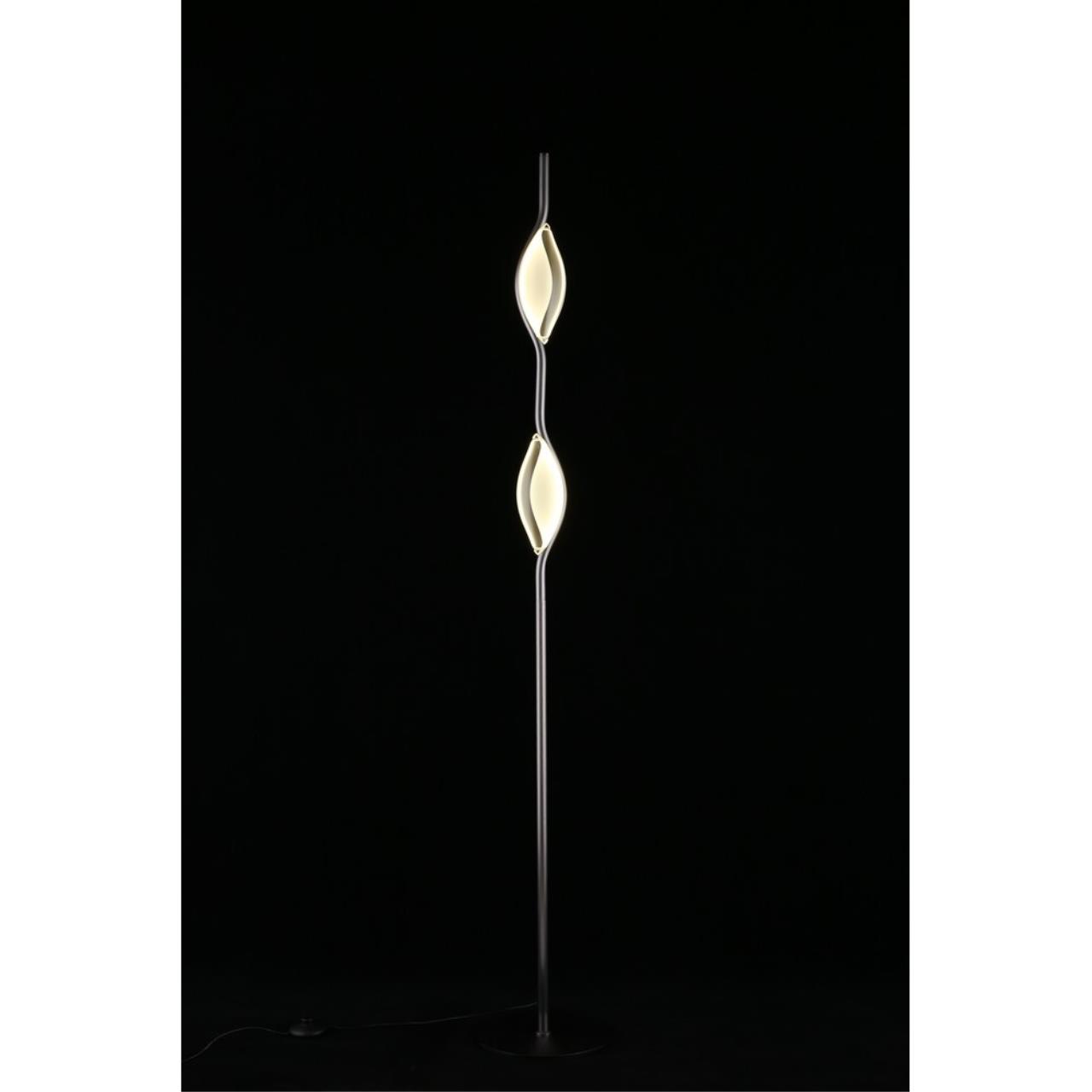 Картинка APL.060.05.18 Торшер Aployt Krysia