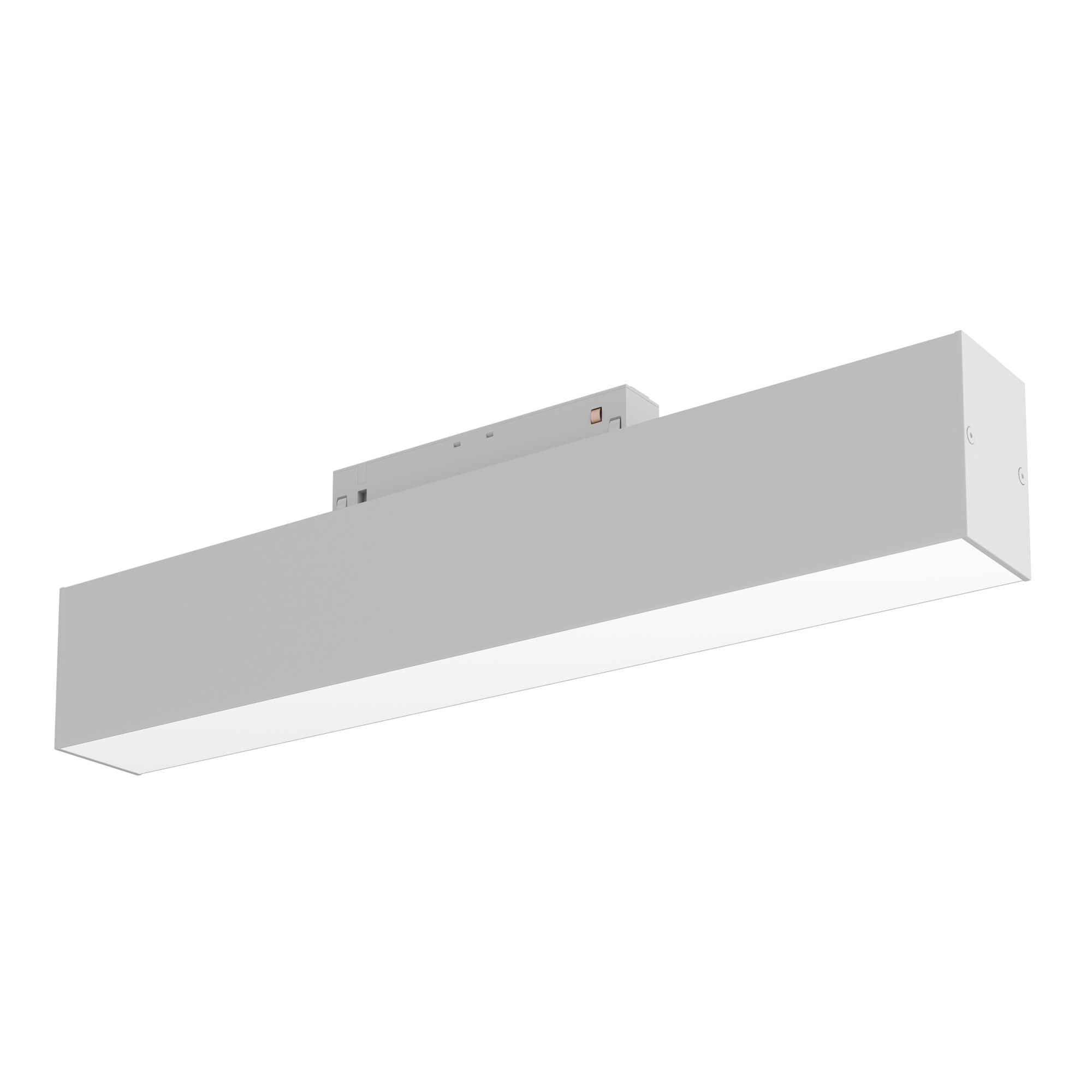 Дополнительная картинка Трековый светильник Technical TR012-2-12W4K-W