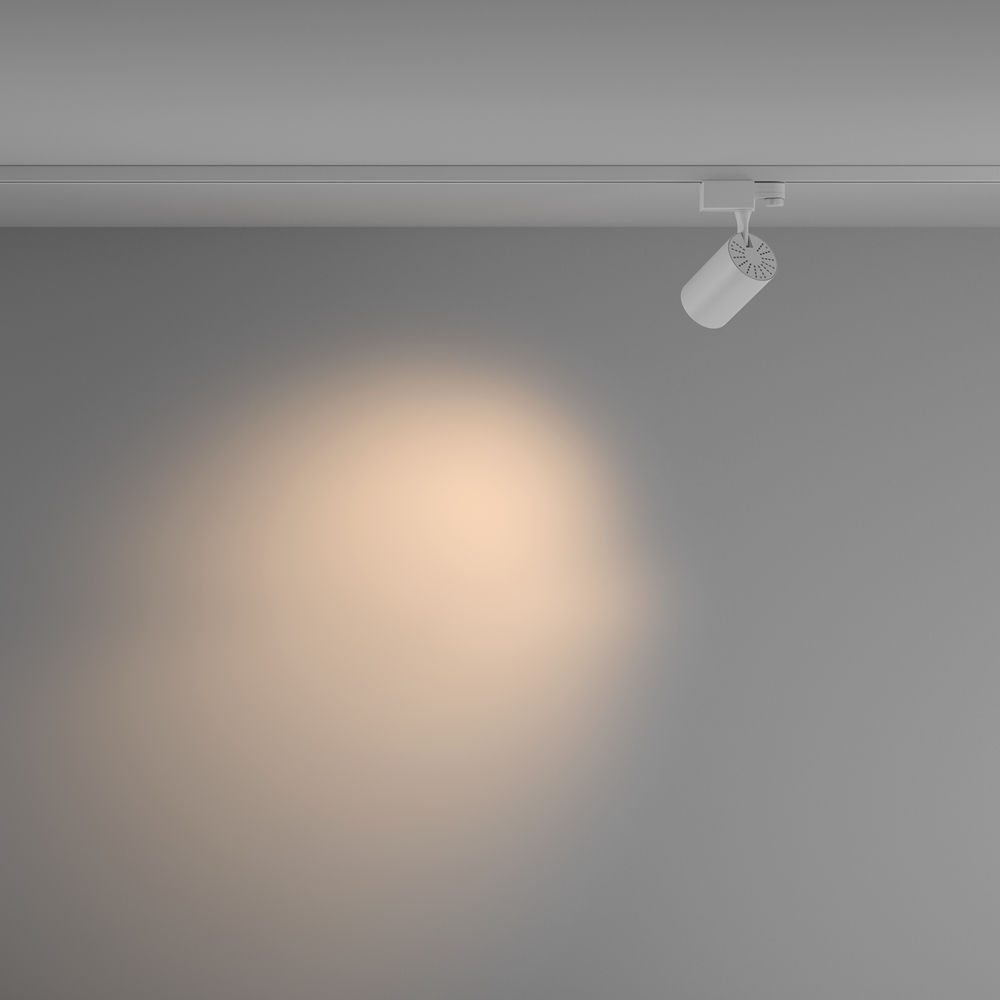 Картинка Трековый светильник Technical TR029-3-10W3K-M-W Vuoro