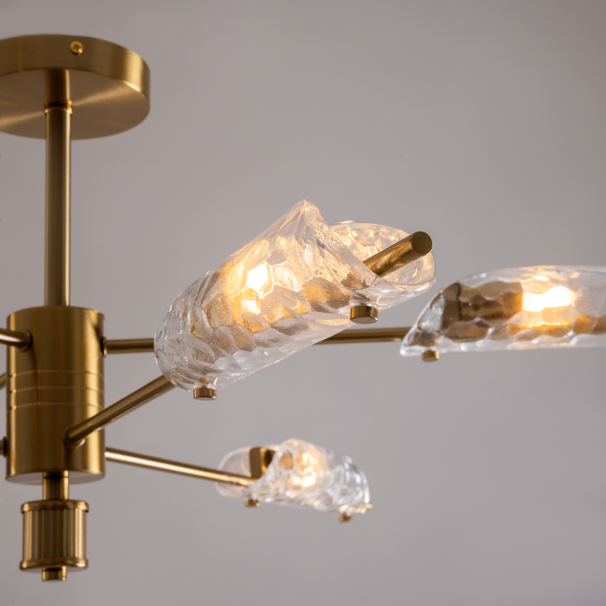 Дополнительная картинка Потолочный светильник Freya FR5420CL-06BS