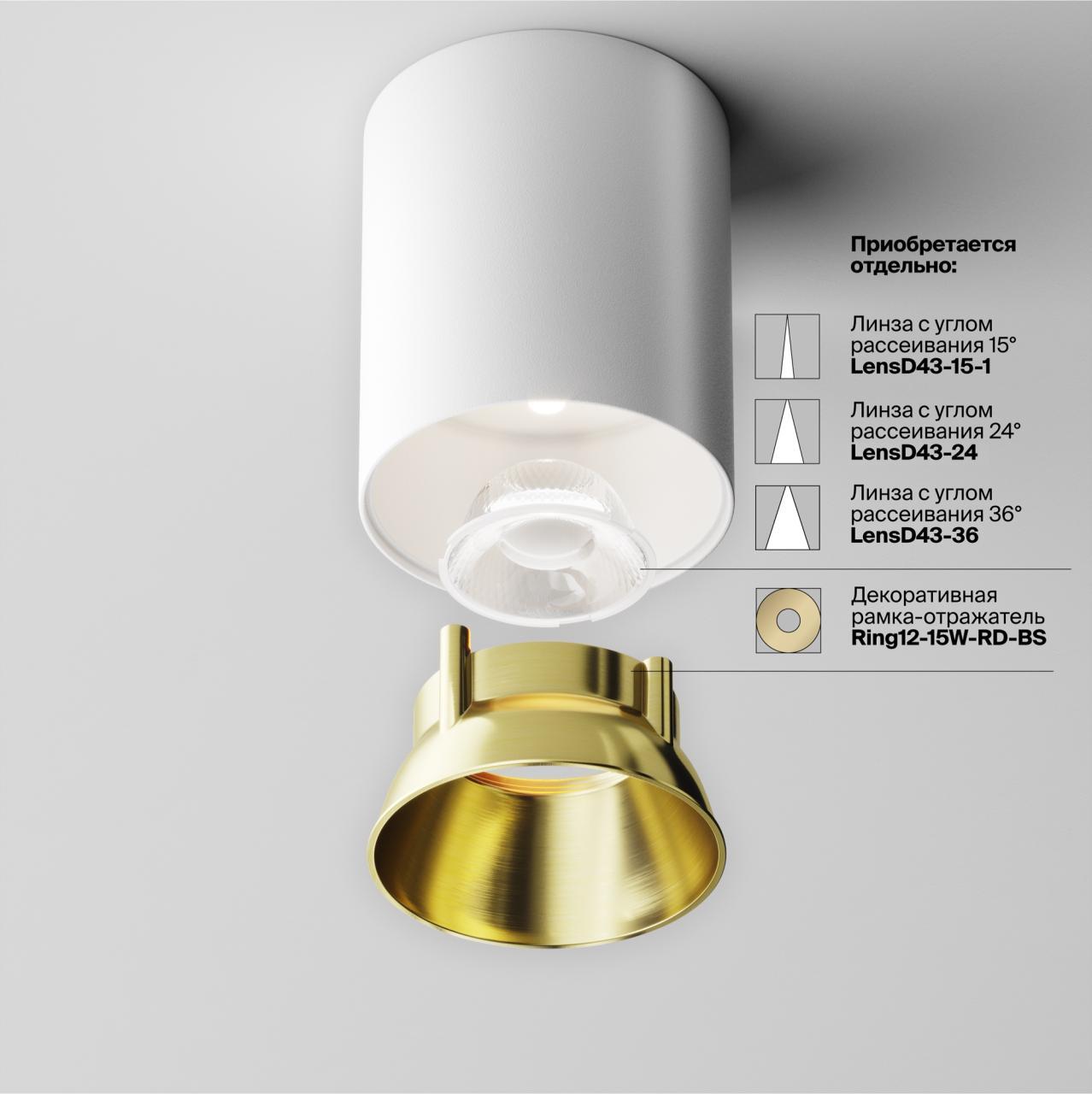 Дополнительная картинка Потолочный светильник Technical C064CL-12W4K-RD-WB