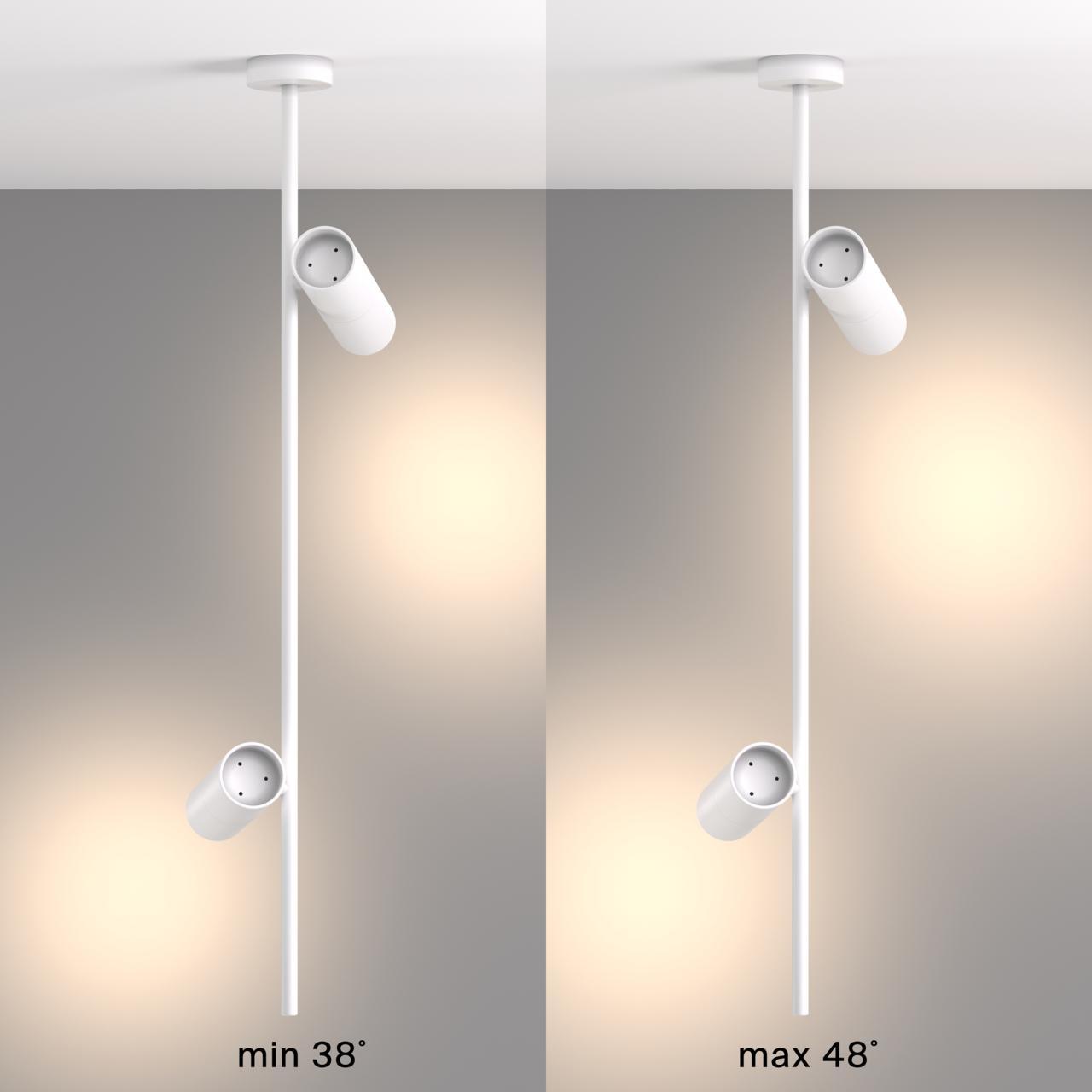 Дополнительная картинка Потолочный светильник Maytoni Elti C021CL-02W