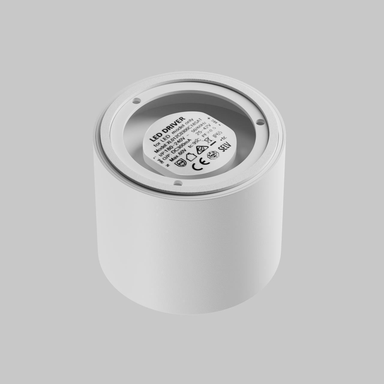 Дополнительная картинка Потолочный светильник Technical C217CL-15W3K-W