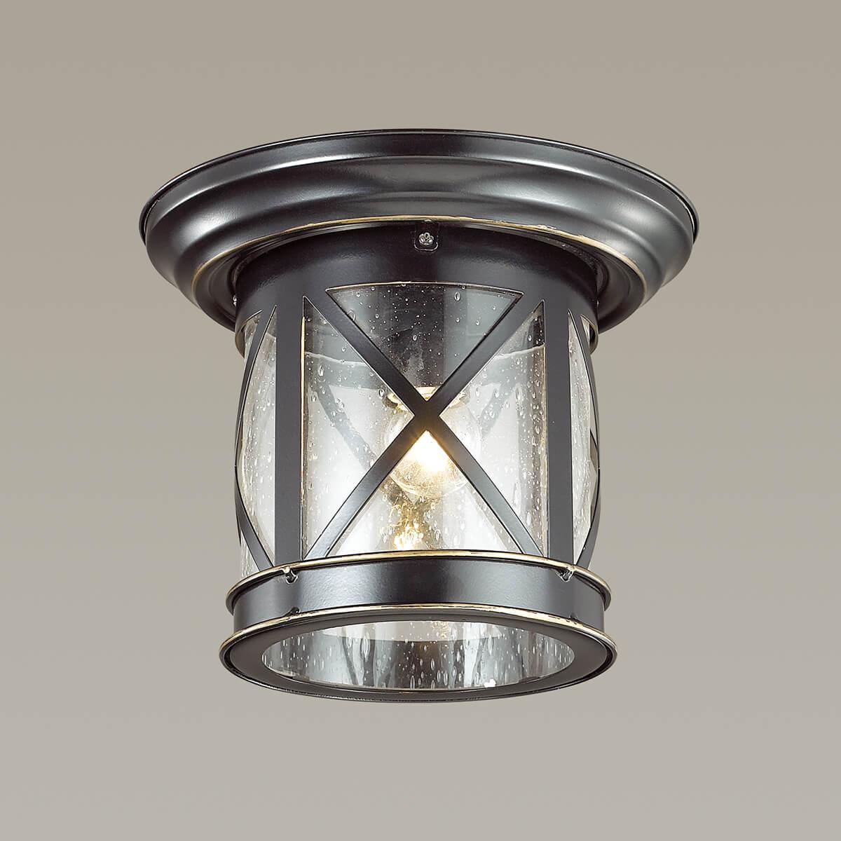 Картинка Уличный светильник Odeon Light Nature Sation 4045/1C