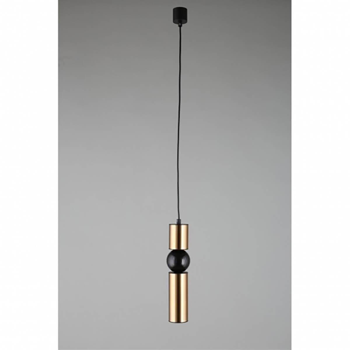 Картинка Подвесной светильник Aployt Brizhit APL.615.16.01