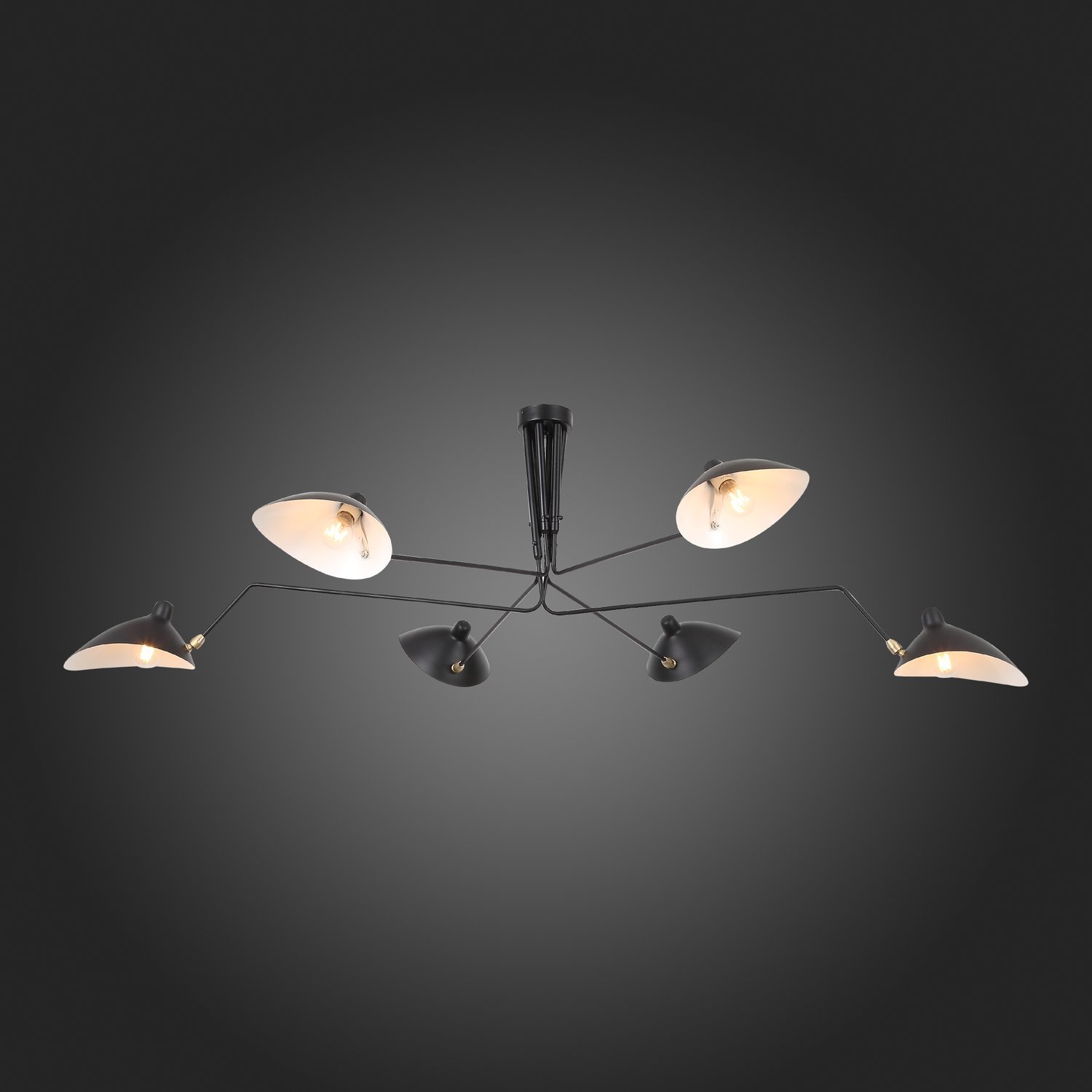 Картинка Подвесная люстра ST Luce Spruzzo SL305.402.06