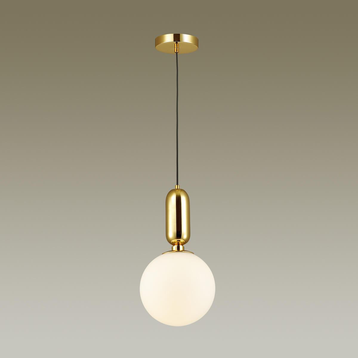 Дополнительная картинка Подвесной светильник Odeon Light Pendant Okia 4669/1