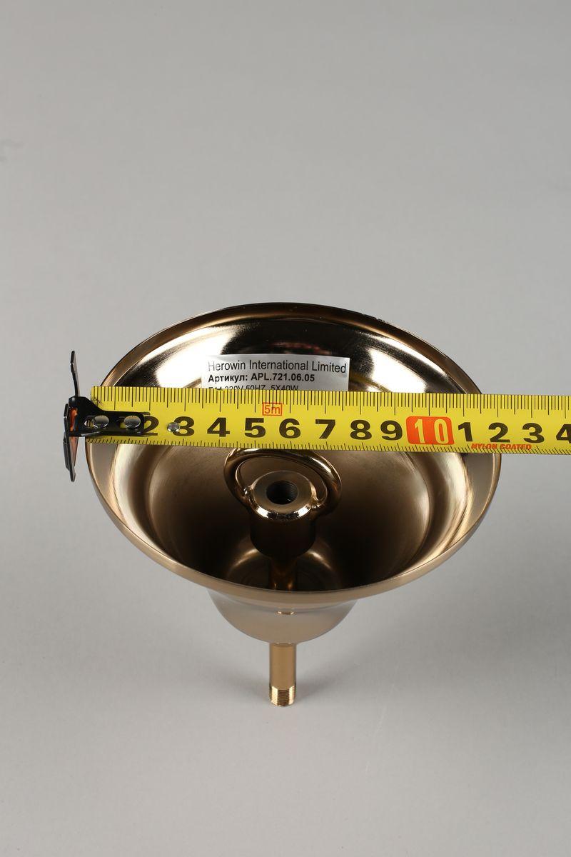 Картинка Подвесная люстра Aployt Berze APL.721.06.05