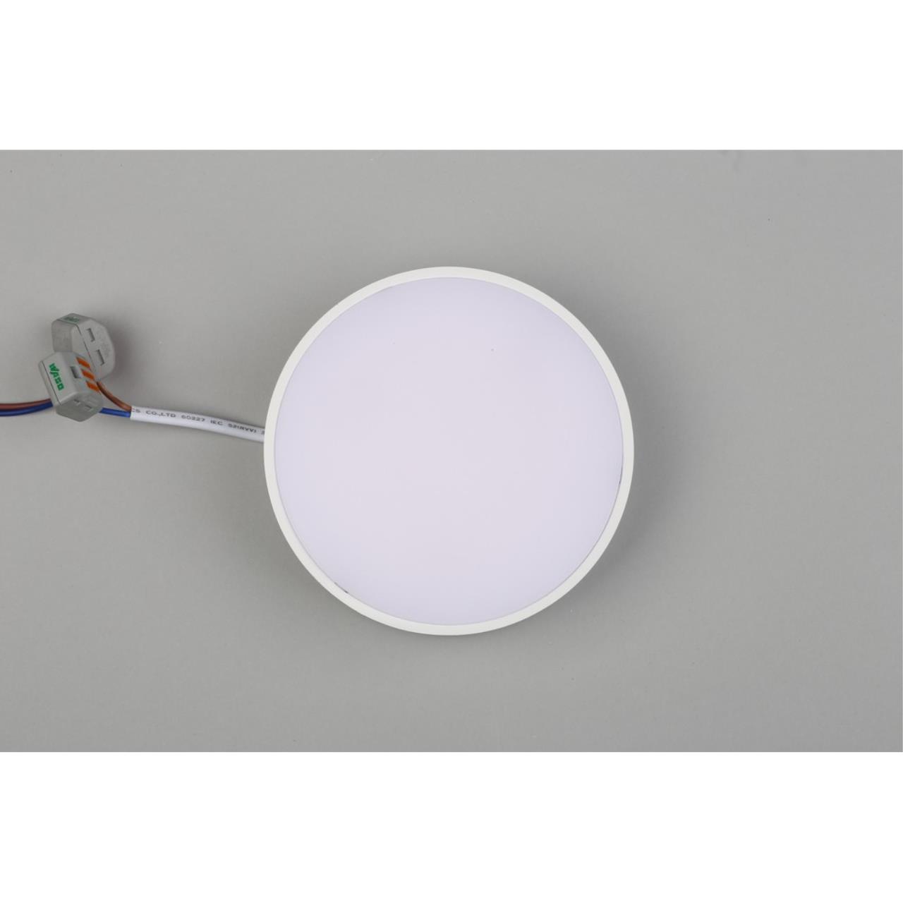 Картинка Потолочный светодиодный светильник Aployt Evon APL.0113.09.12