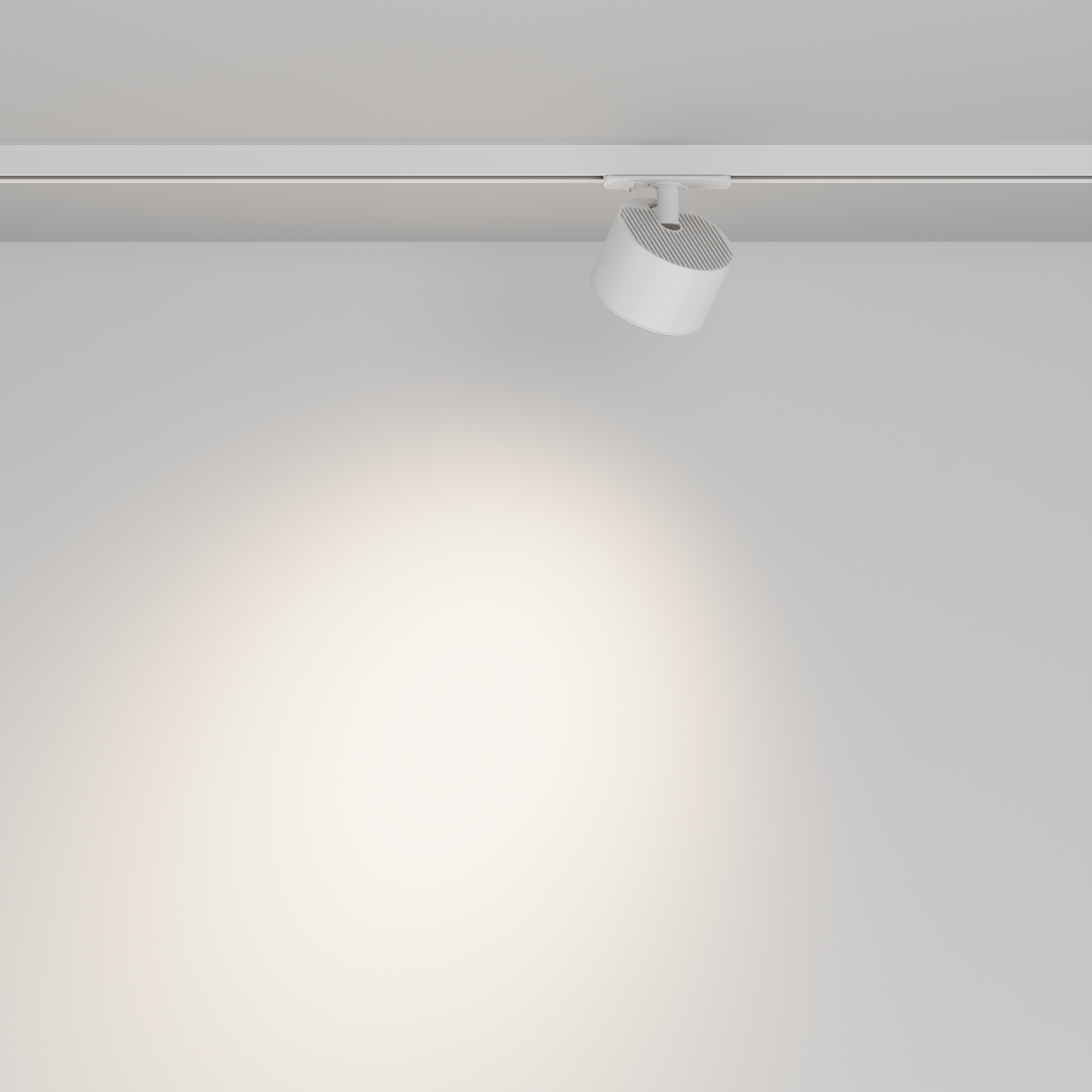 Картинка Трековый светильник Technical TR225-1-GX53-W