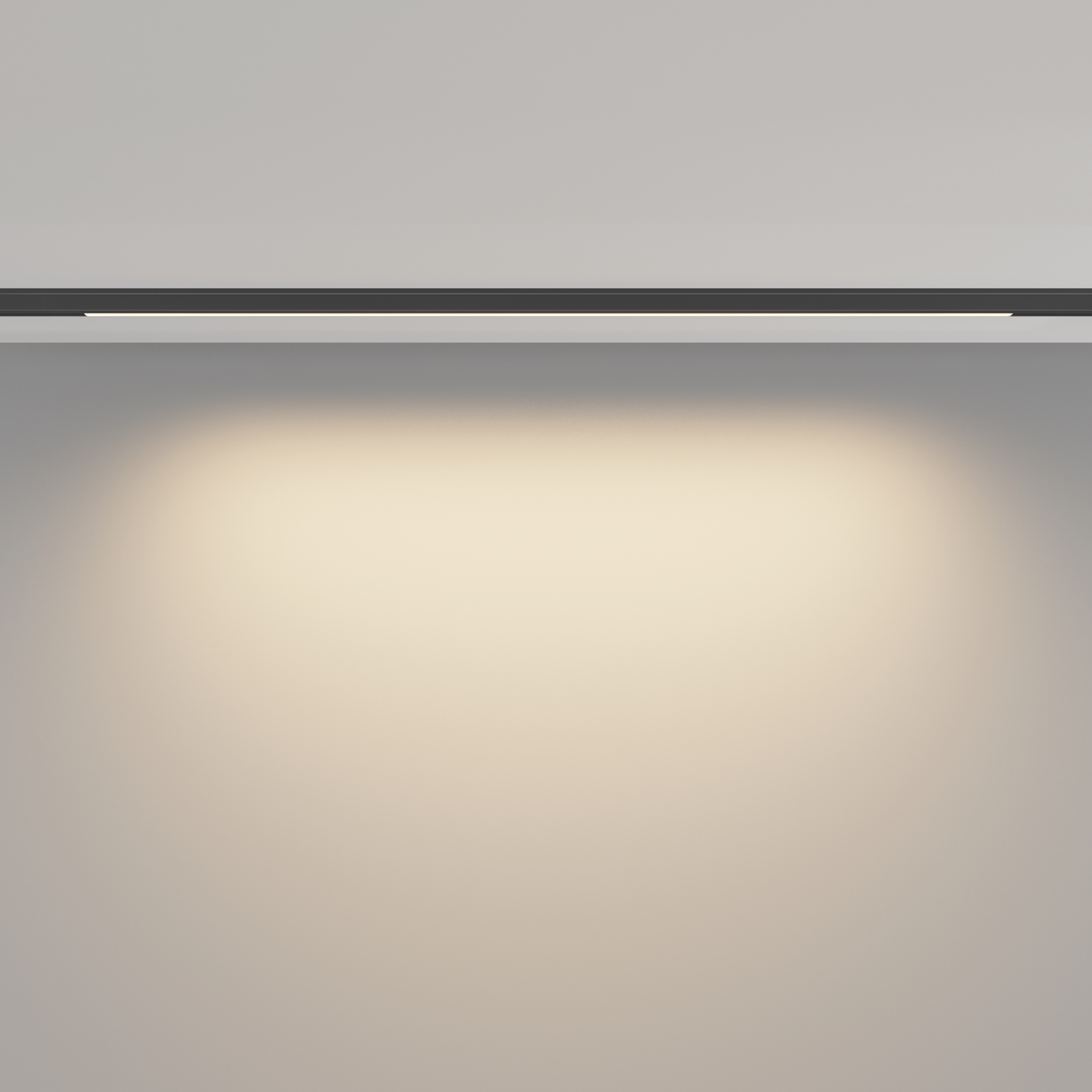 Дополнительная картинка Трековый светильник Technical TR190-1-10W3K-B