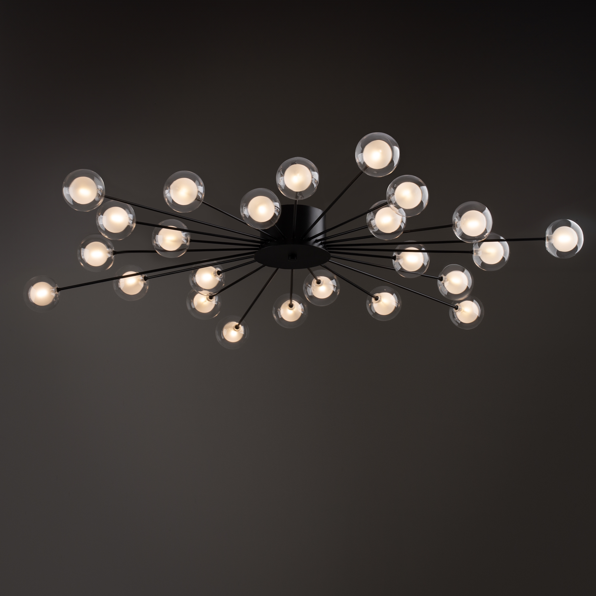 Картинка Потолочная люстра Freya FR5242CL-24B1