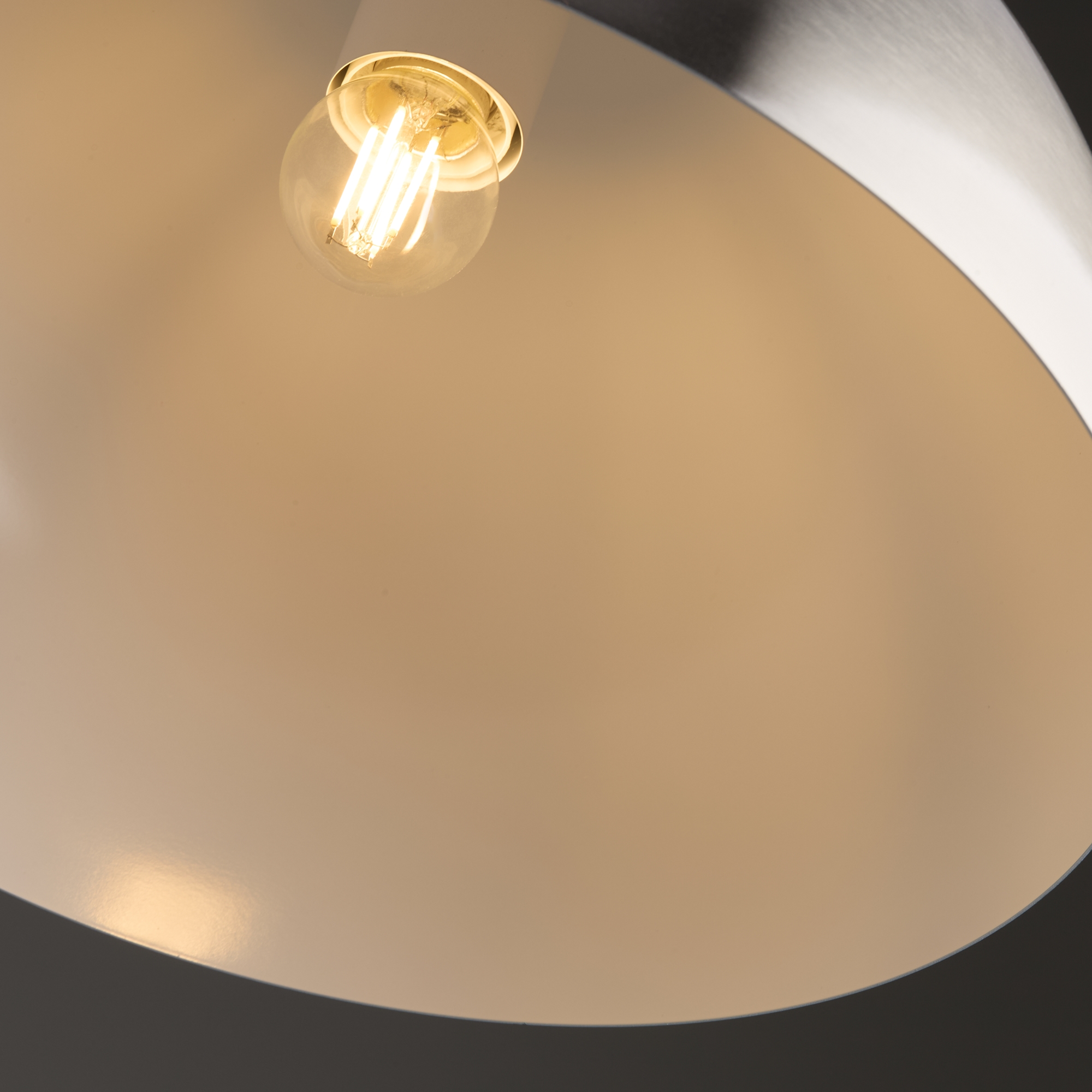 Дополнительная картинка Подвесной светильник Freya FR5218PL-01N