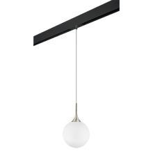 PRO813033 Светильник д - 1-фазн трека GLOBO 1х40W E14 ШАМПАНЬ - БЕЛЫЙ - ЧЕРНЫЙ  813033 - 595007 купить в Алматы svet.kz