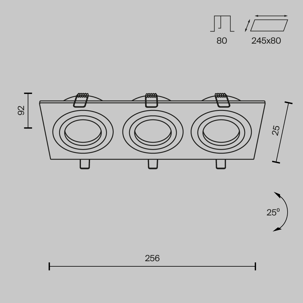 Дополнительная картинка Встраиваемый светильник Maytoni Atom DL024-2-03W