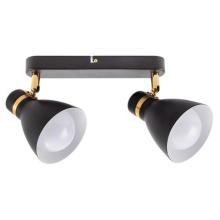 Настенно-потолочные Потолочный светильник Arte Lamp FAFNIR A5047PL-2BK, доставка по Казахстану 