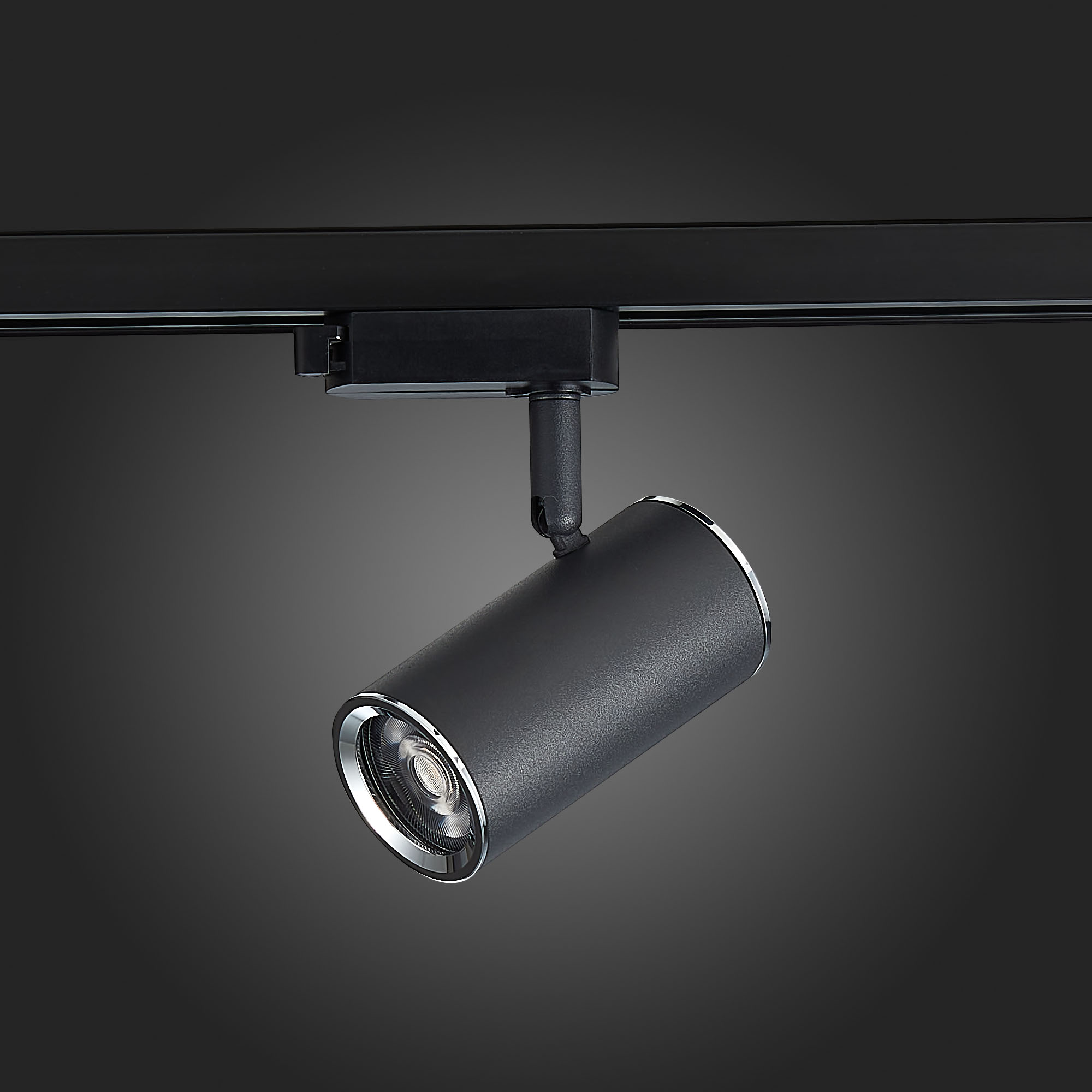 Дополнительная картинка Трековый светильник ST Luce ST301.406.01