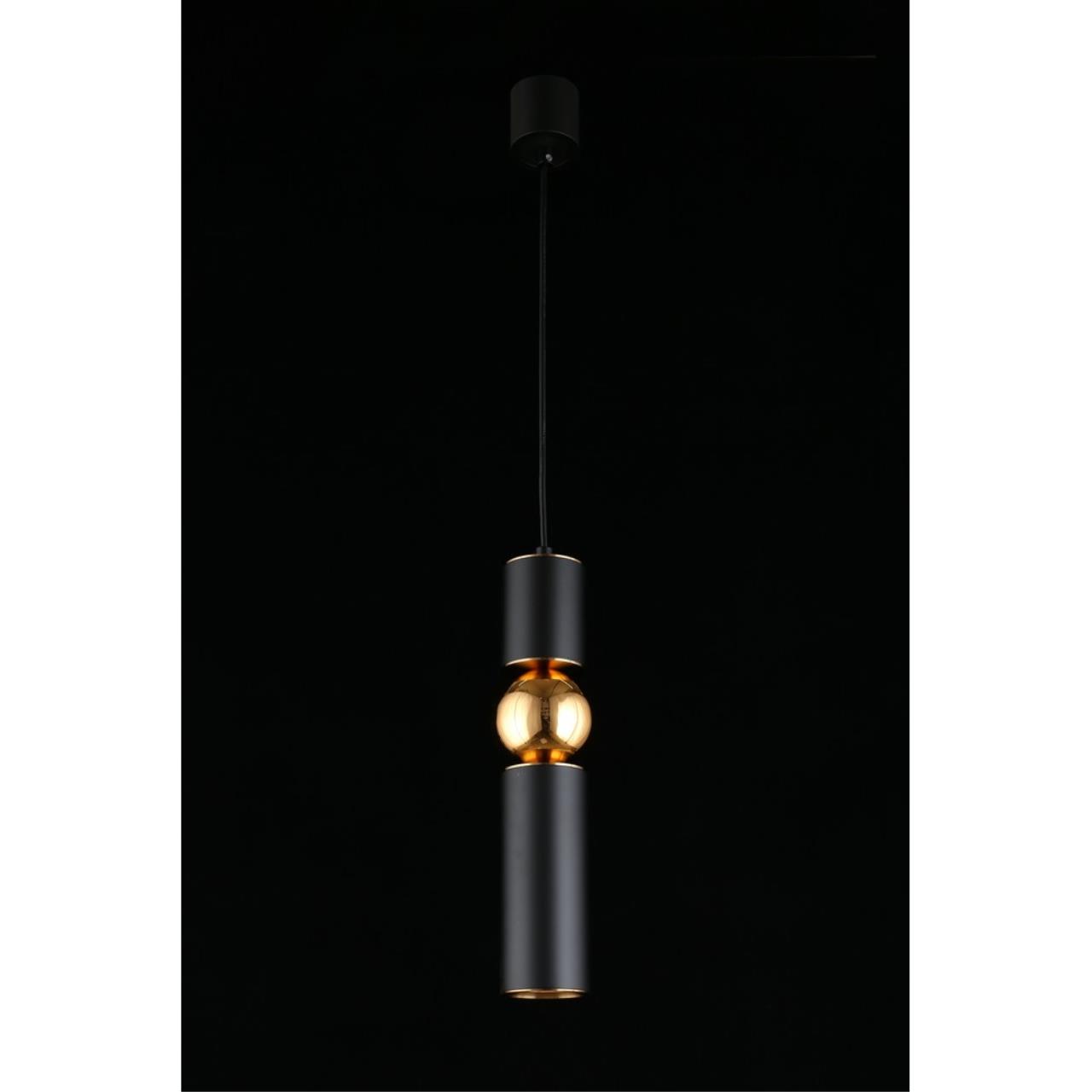 Картинка Подвесной светильник Aployt Brizhit APL.615.06.01