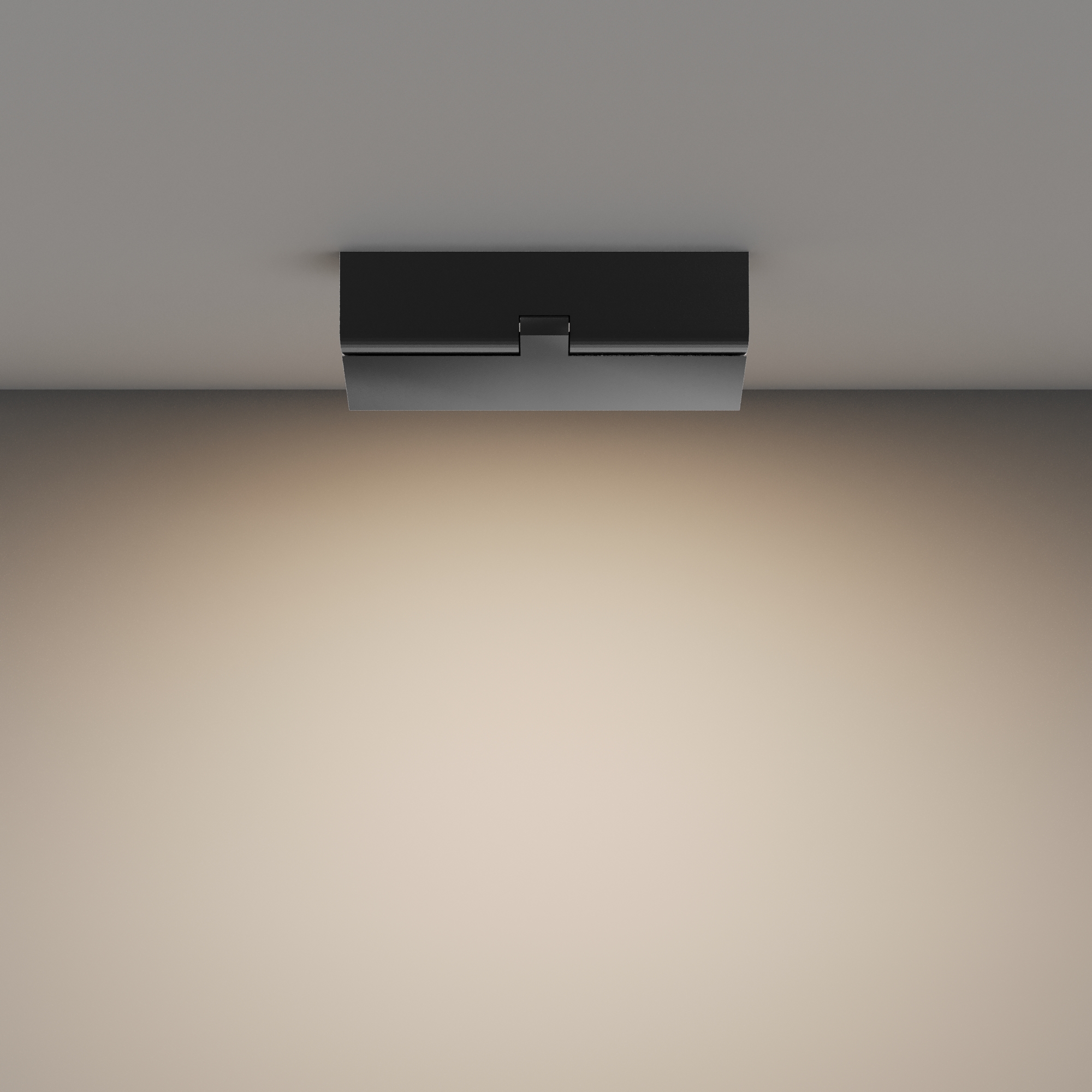 Картинка Потолочный светильник Technical C133CL-12W3K-B