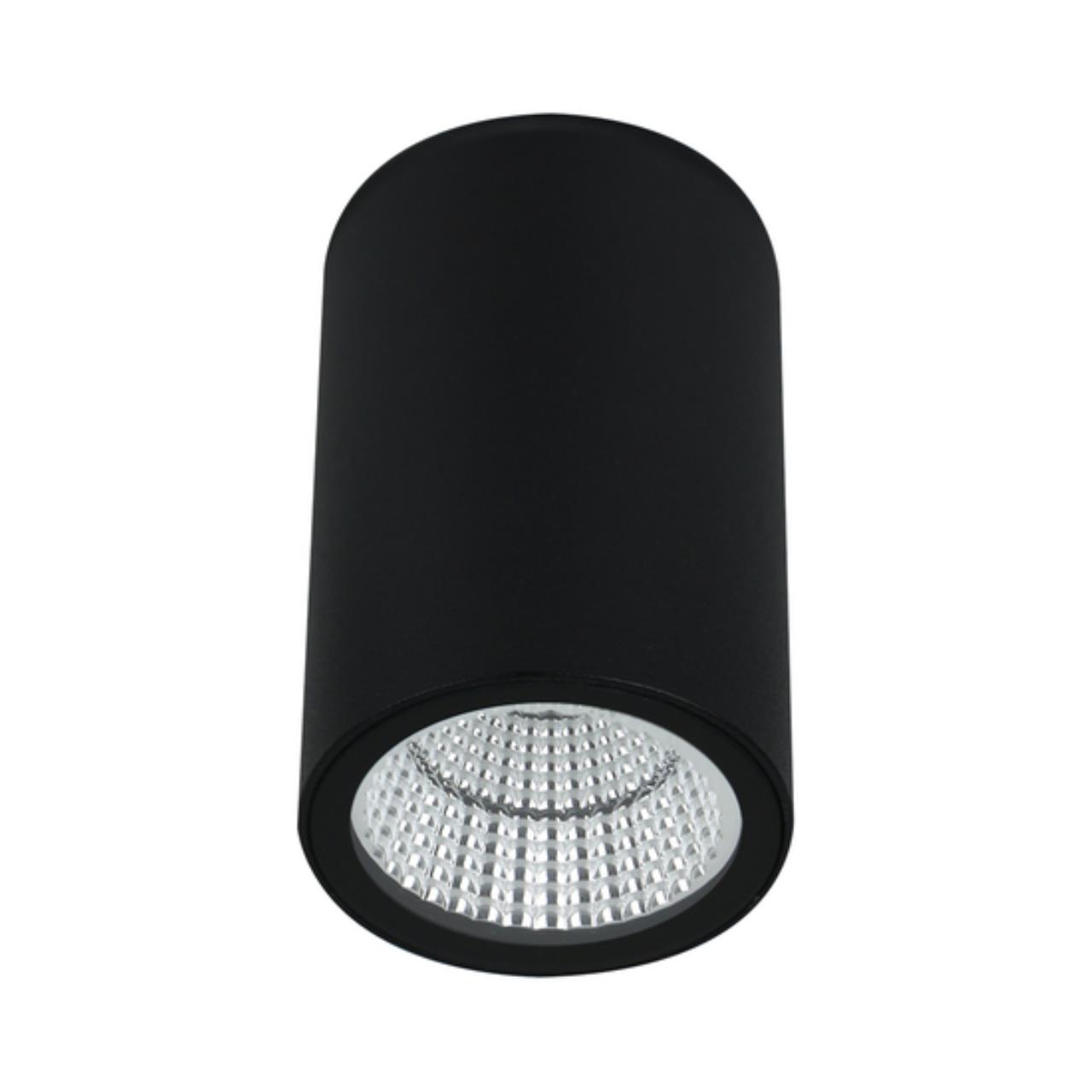 Картинка Уличный потолочный светильник Arte Lamp TORCULAR A1807PF-1BK