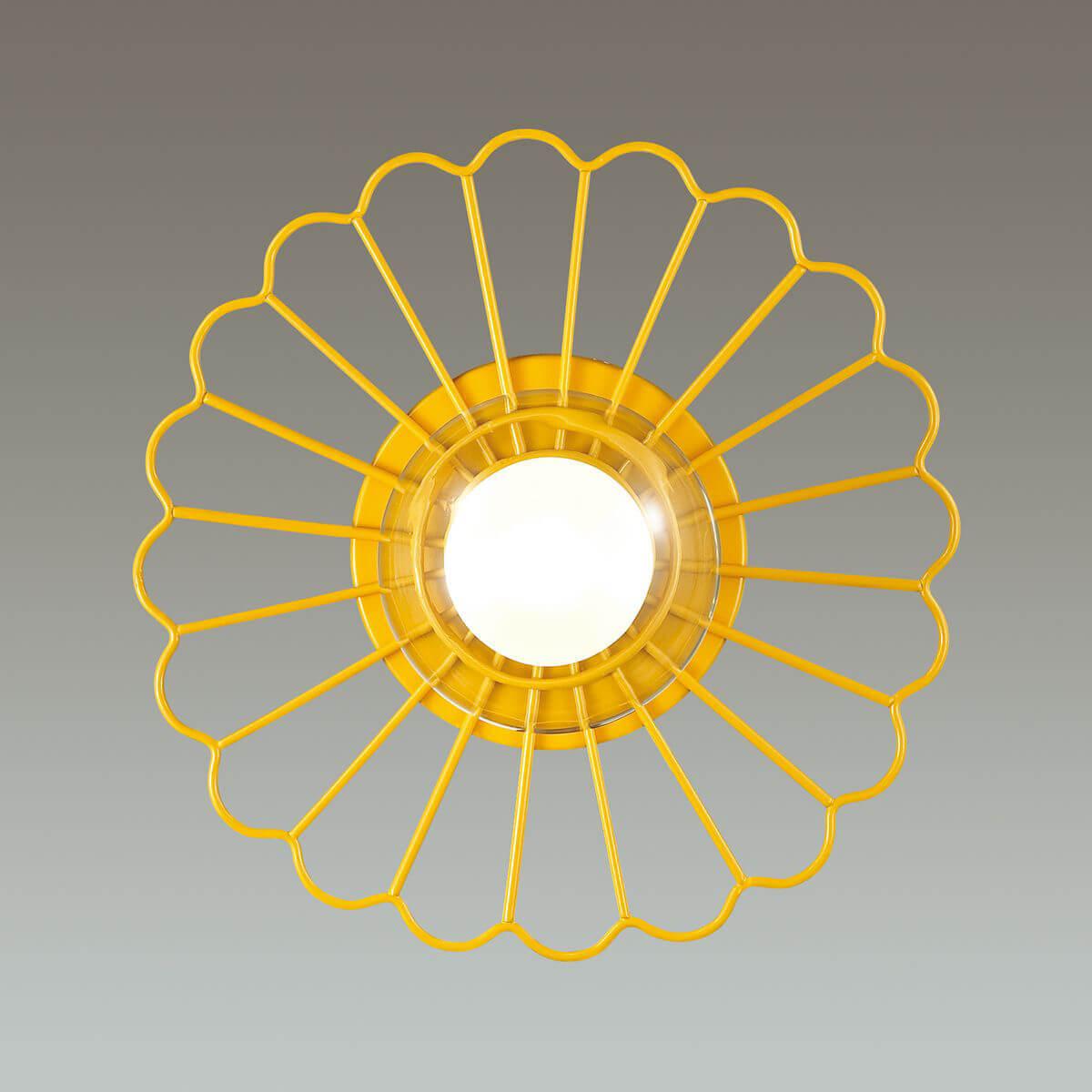 Картинка Настенный светильник Lumion Mimi 3779/1W