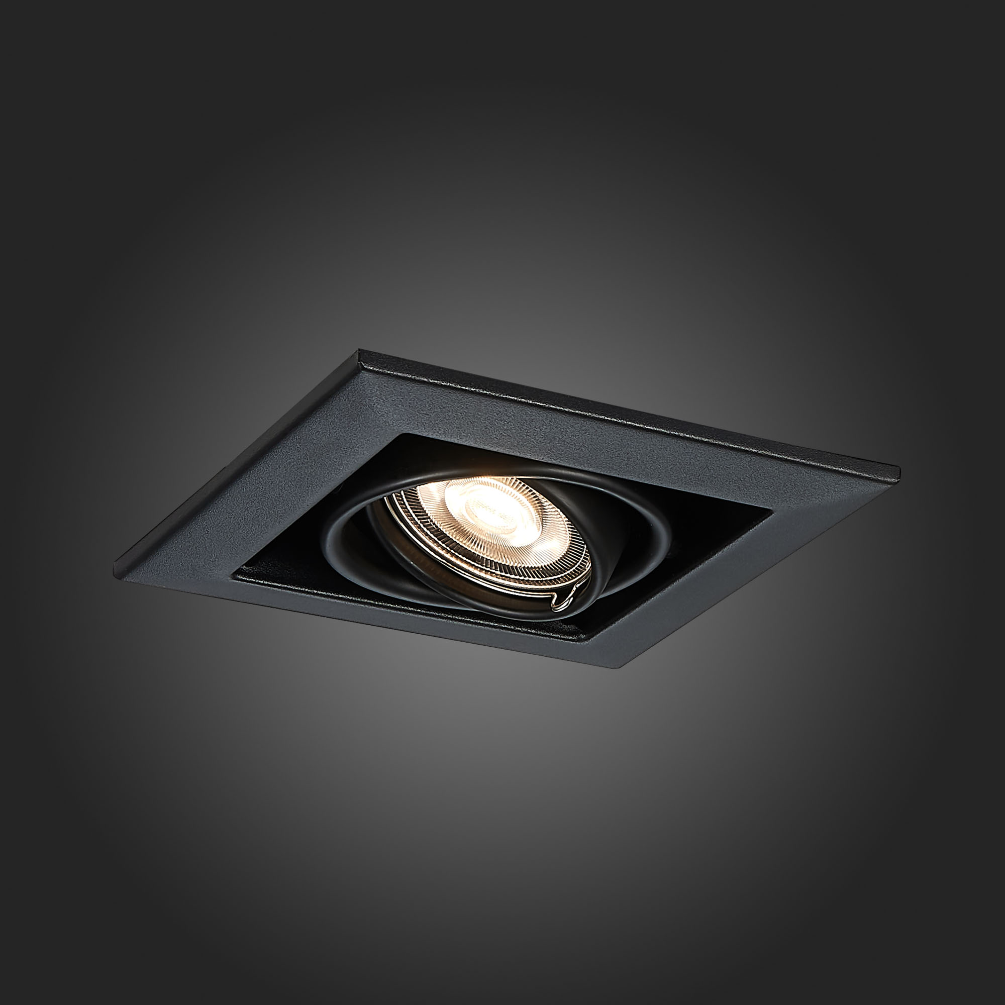 Дополнительная картинка Встраиваемый светильник ST Luce ST250.448.01