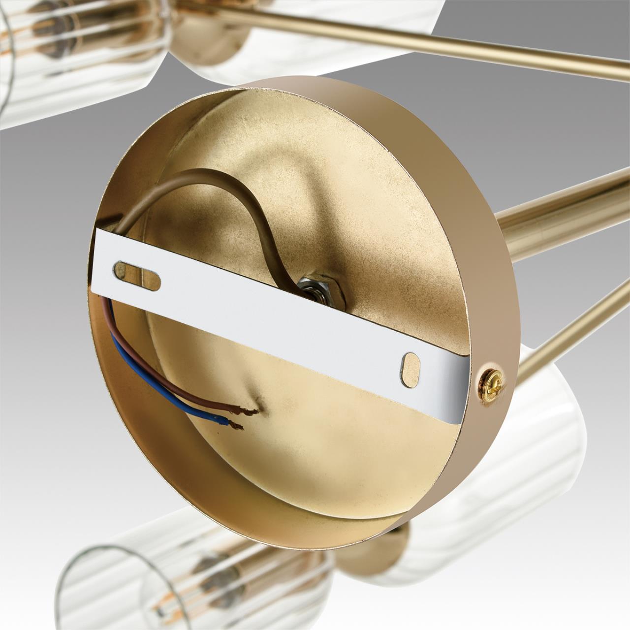 Дополнительная картинка 6586/16 Lumion Люстра подвесная KASSIA