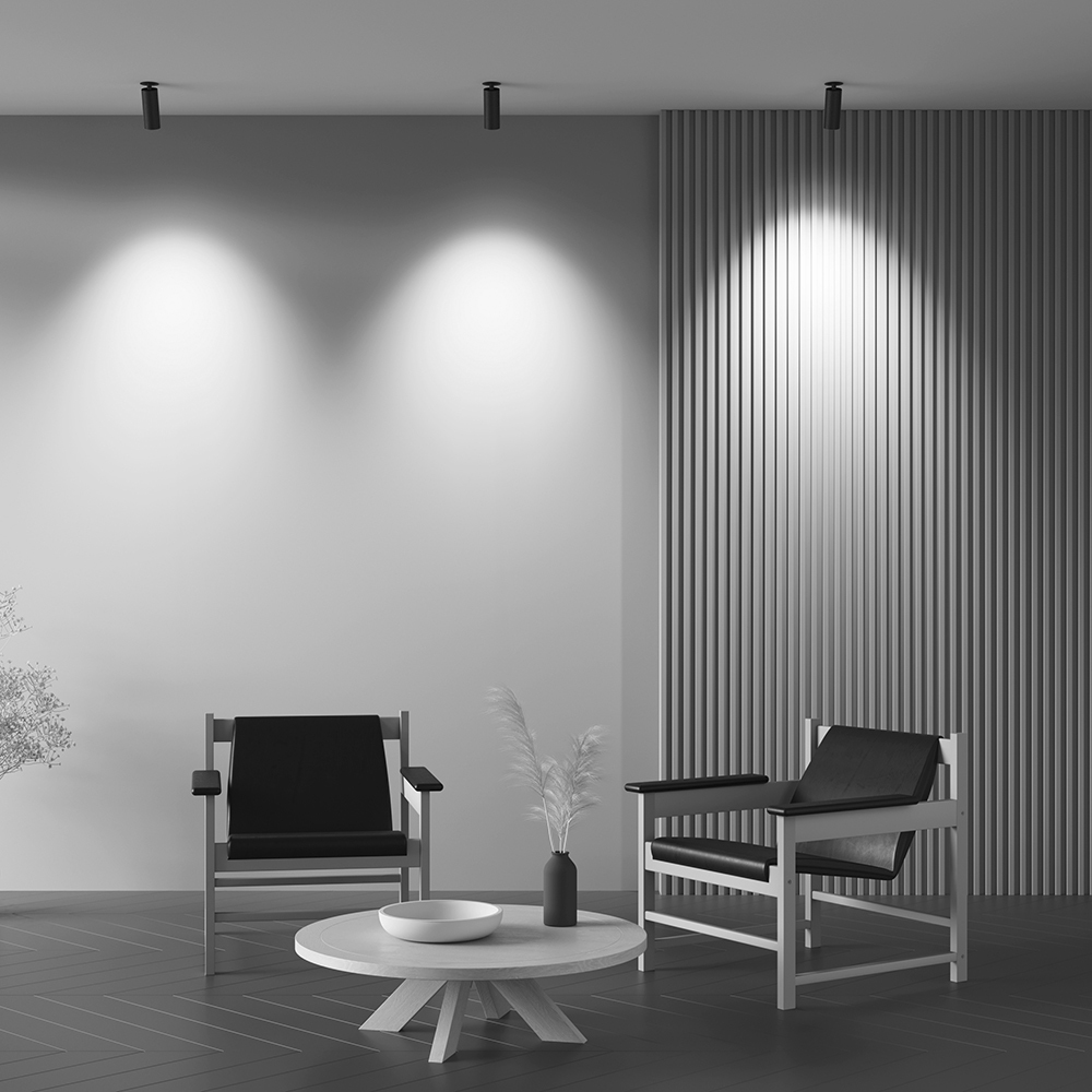 Дополнительная картинка Потолочный светильник Technical C053CL-L12W3K-W-B