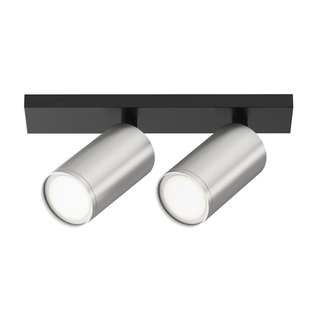 Дополнительная картинка Потолочный светильник Technical C051CL-U-02BS