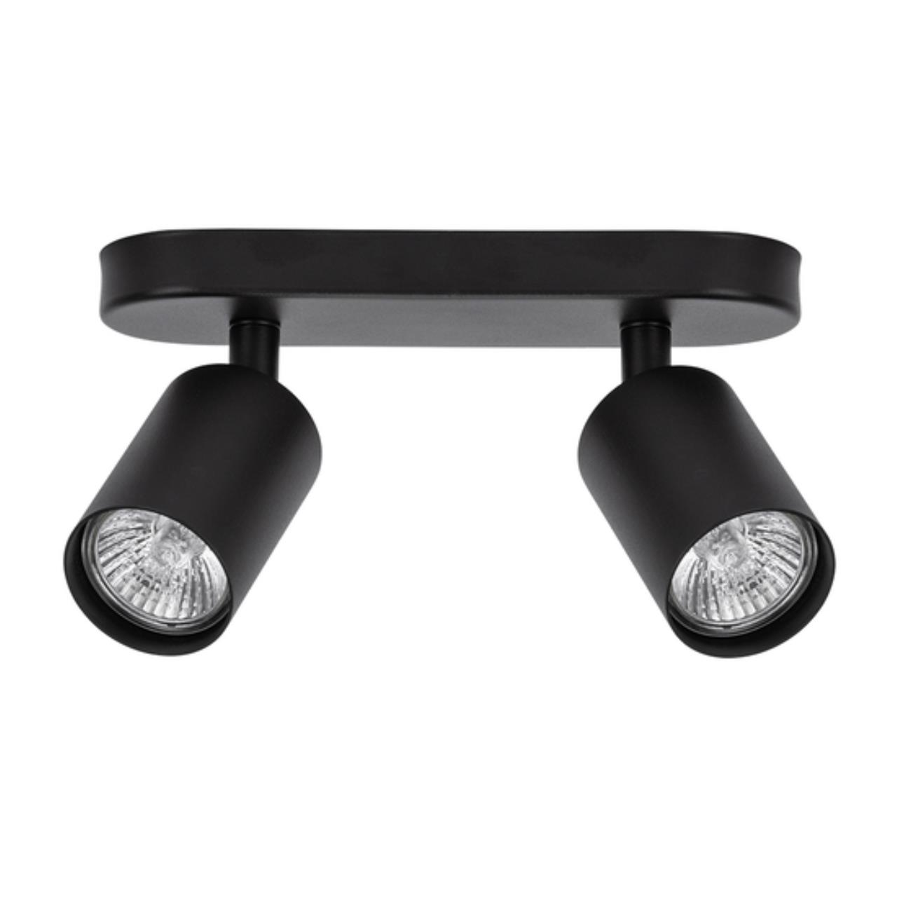 Картинка Потолочный светильник Arte Lamp AQUARIUS A3226PL-2BK