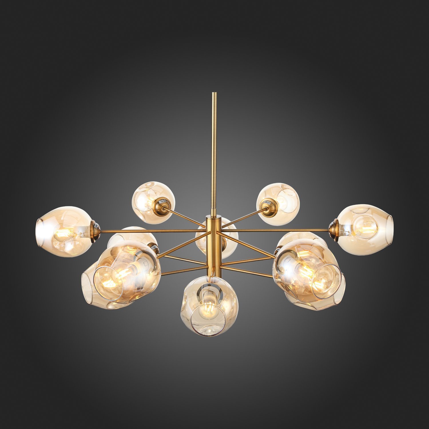 Картинка Подвесная люстра ST Luce Fovia SL1500.203.12