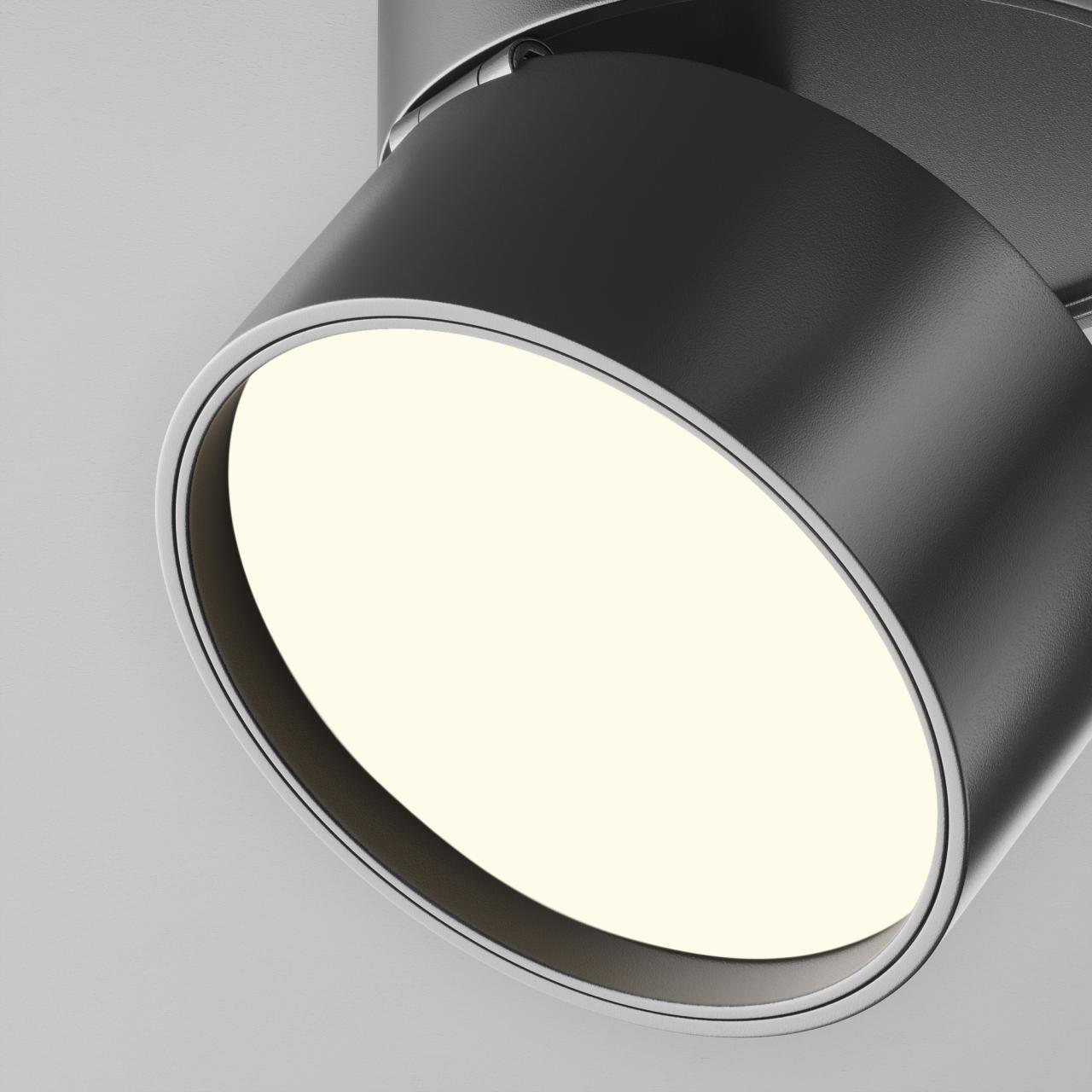Дополнительная картинка Потолочный светильник Technical C024CL-12W4K-B-1