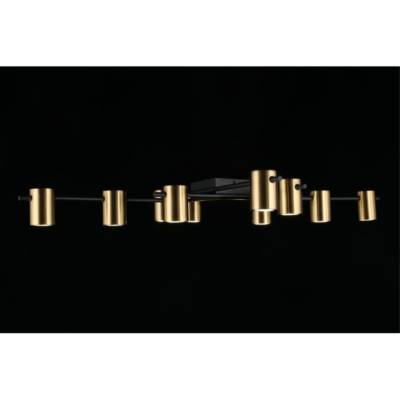 Картинка Потолочная люстра Aployt Elwisia APL.633.07.10