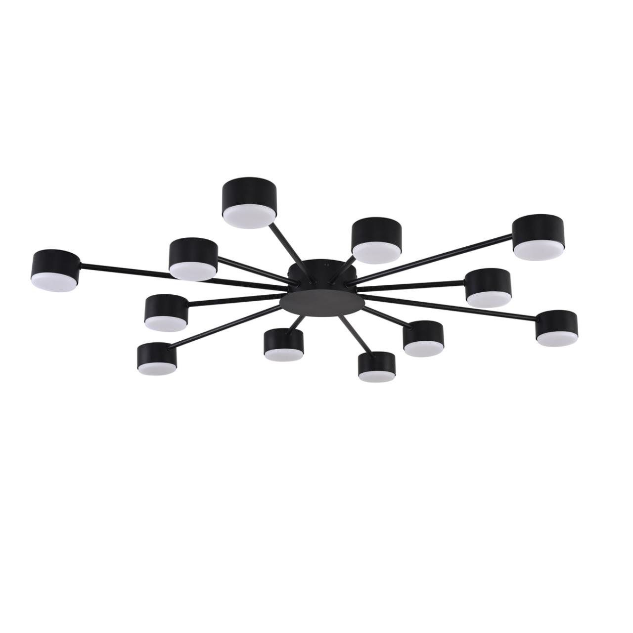 Потолочные 8344/12C Lumion Люстра TORINA, доставка по Казахстану 