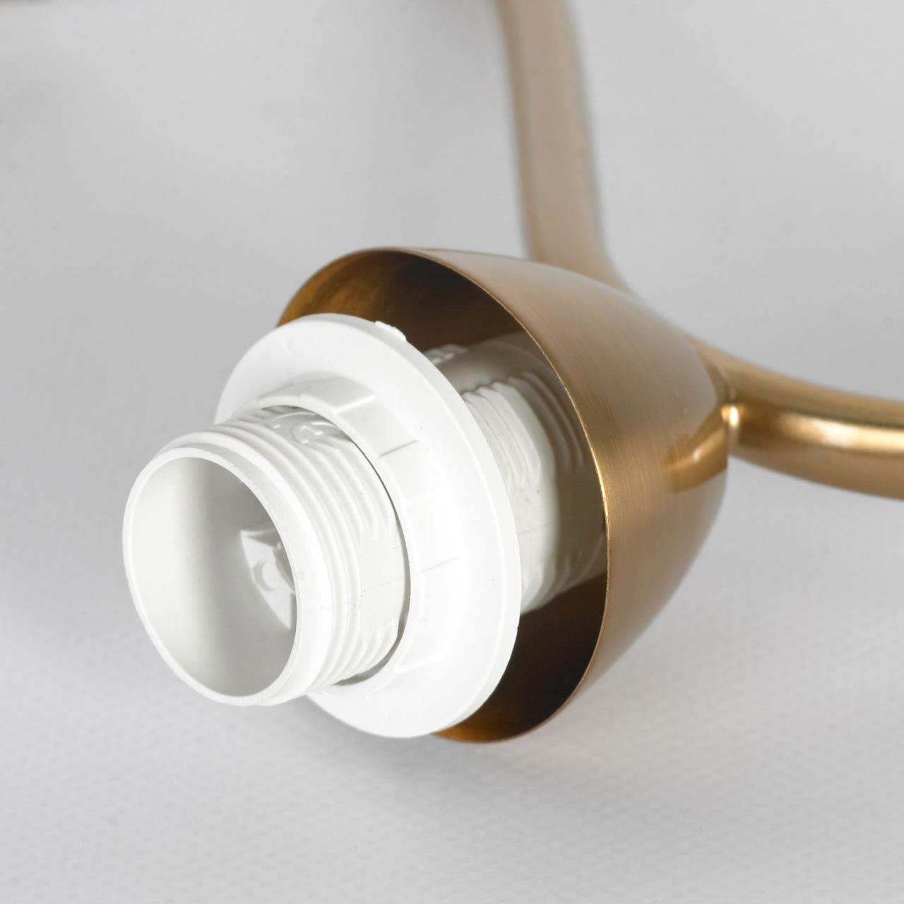 Картинка Люстра подвесная Lussole LSP-8824